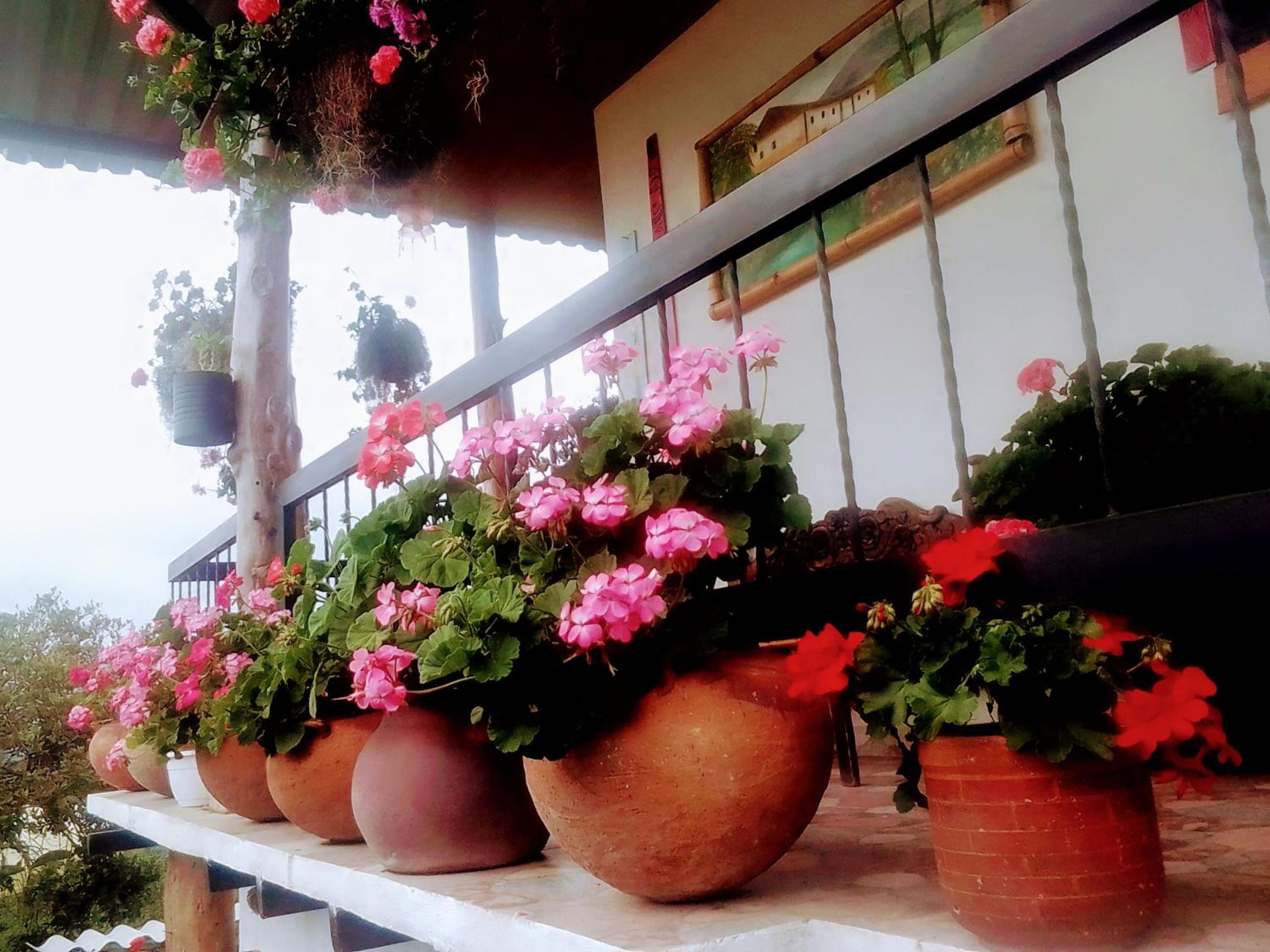 Finca Renacer