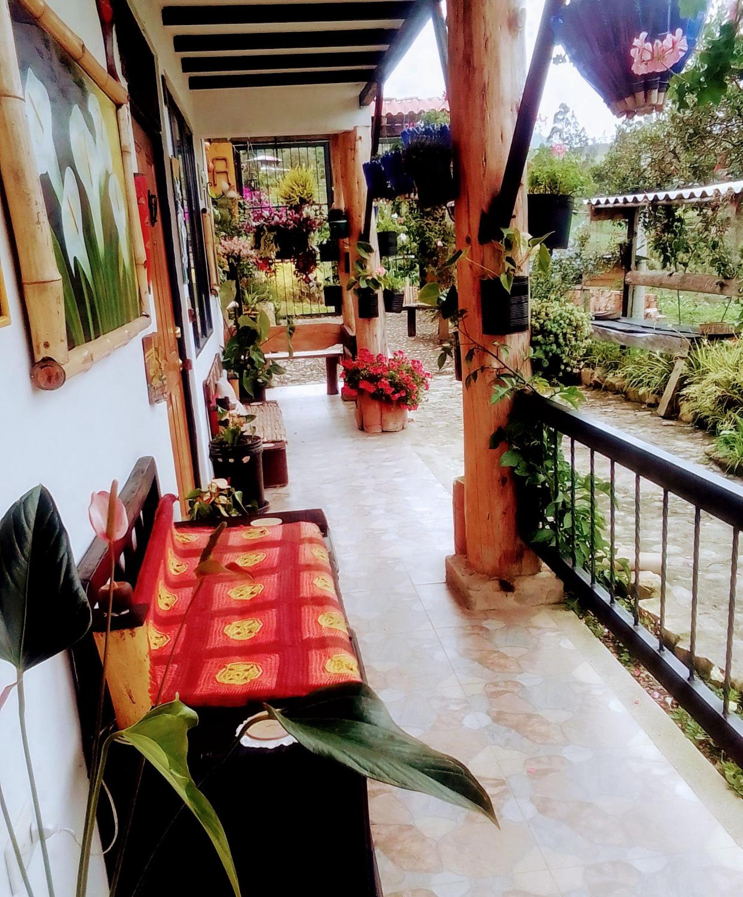 Finca Renacer