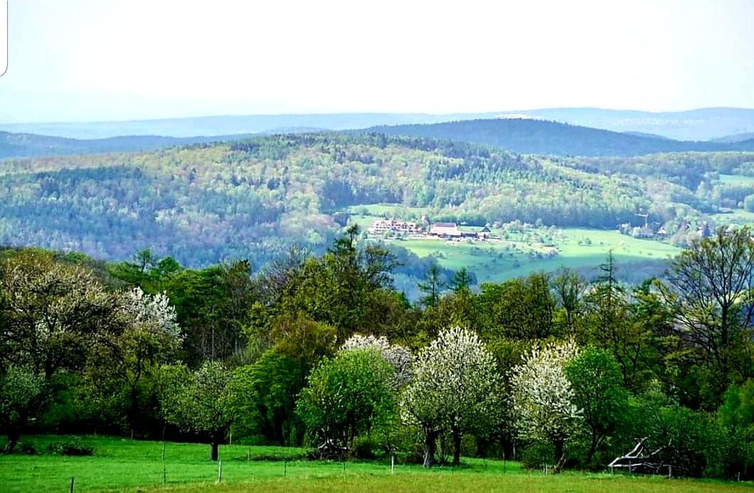 Geishöhe Landgasthof Rose Dammbach