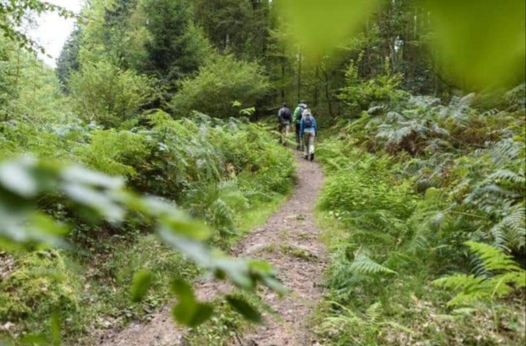 Geishöhe Landgasthof Rose Dammbach