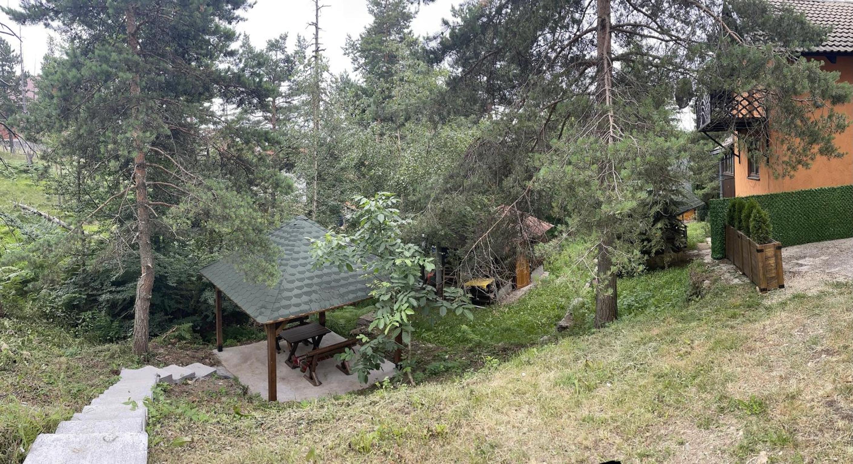 Photo 21