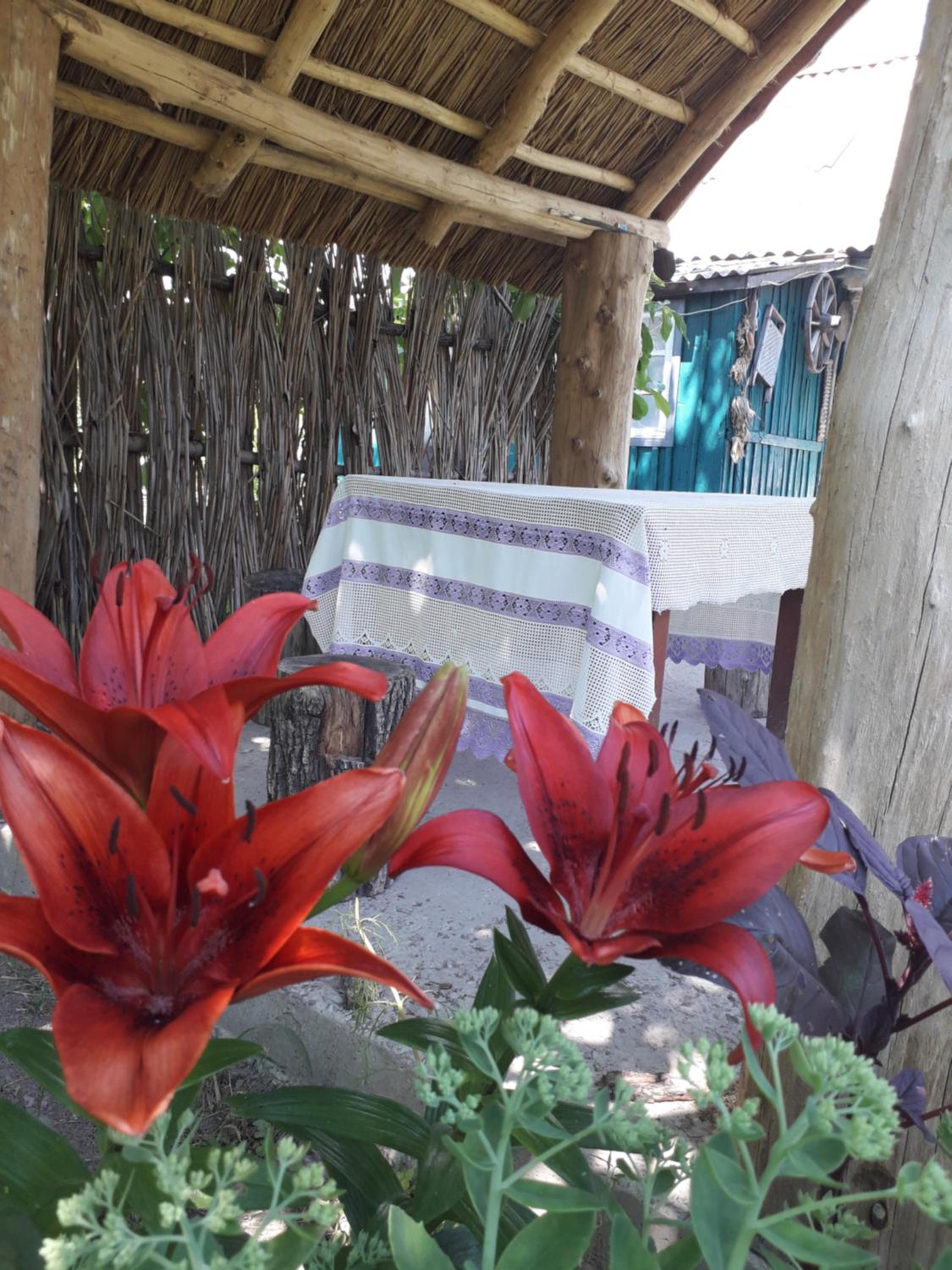 Photo 33