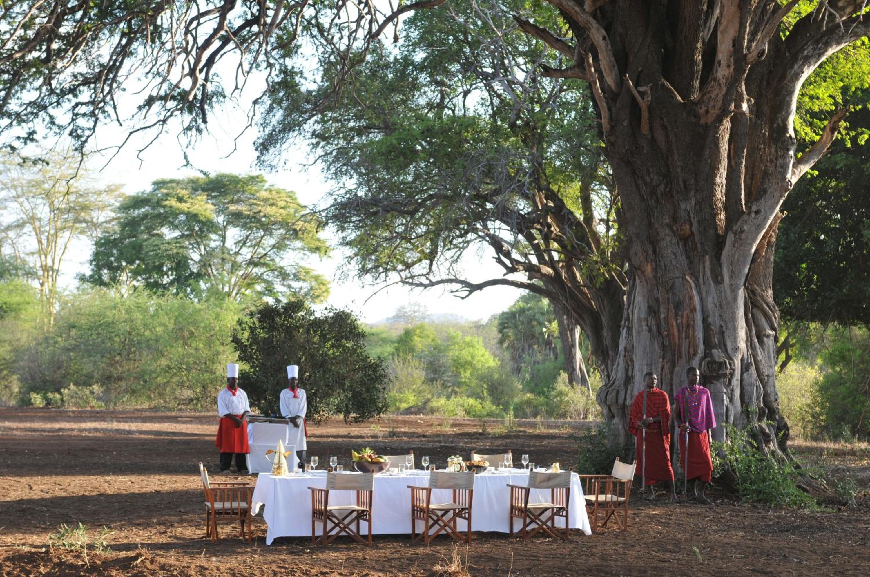 dining