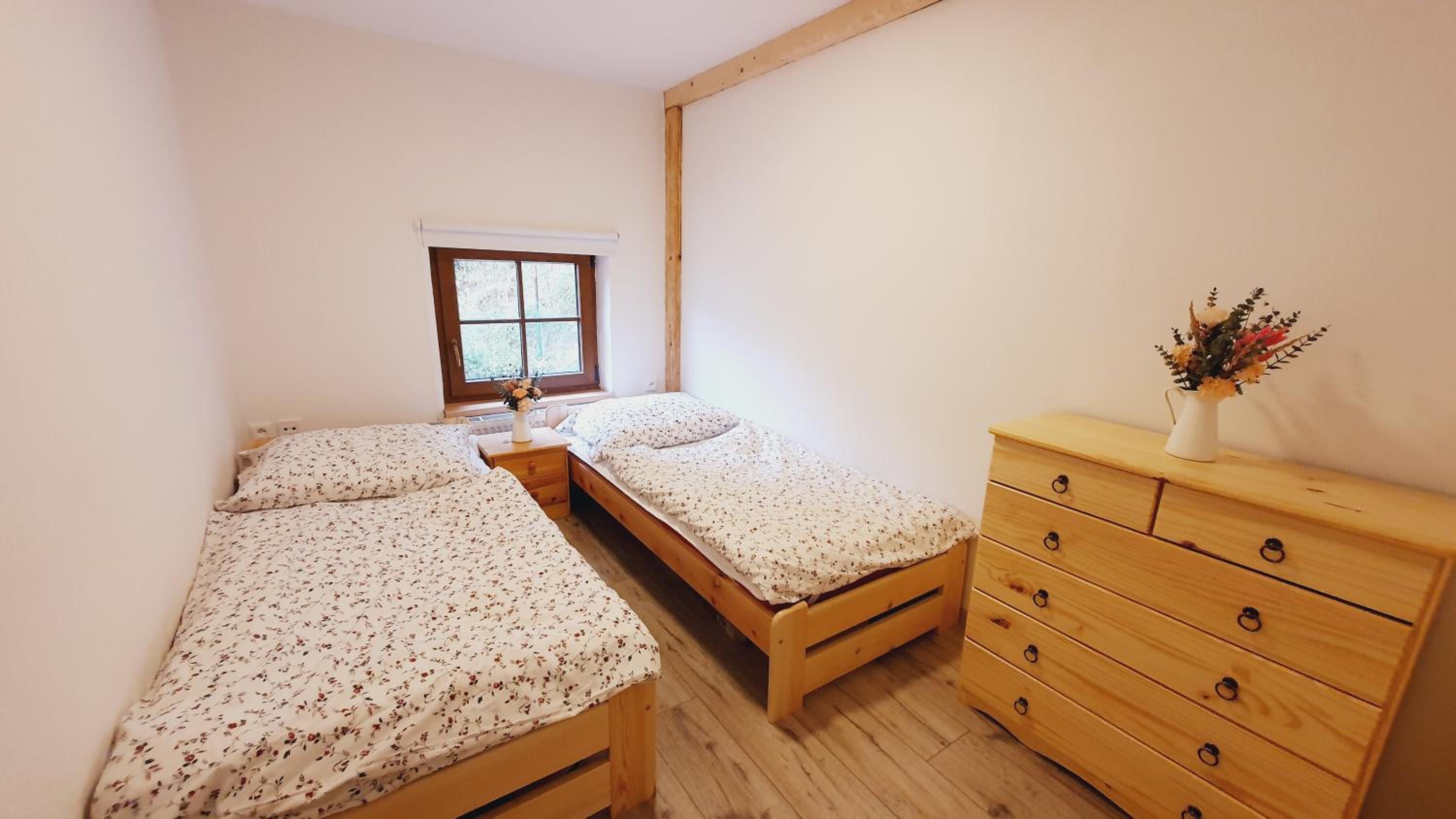 Apartmán U Profesora