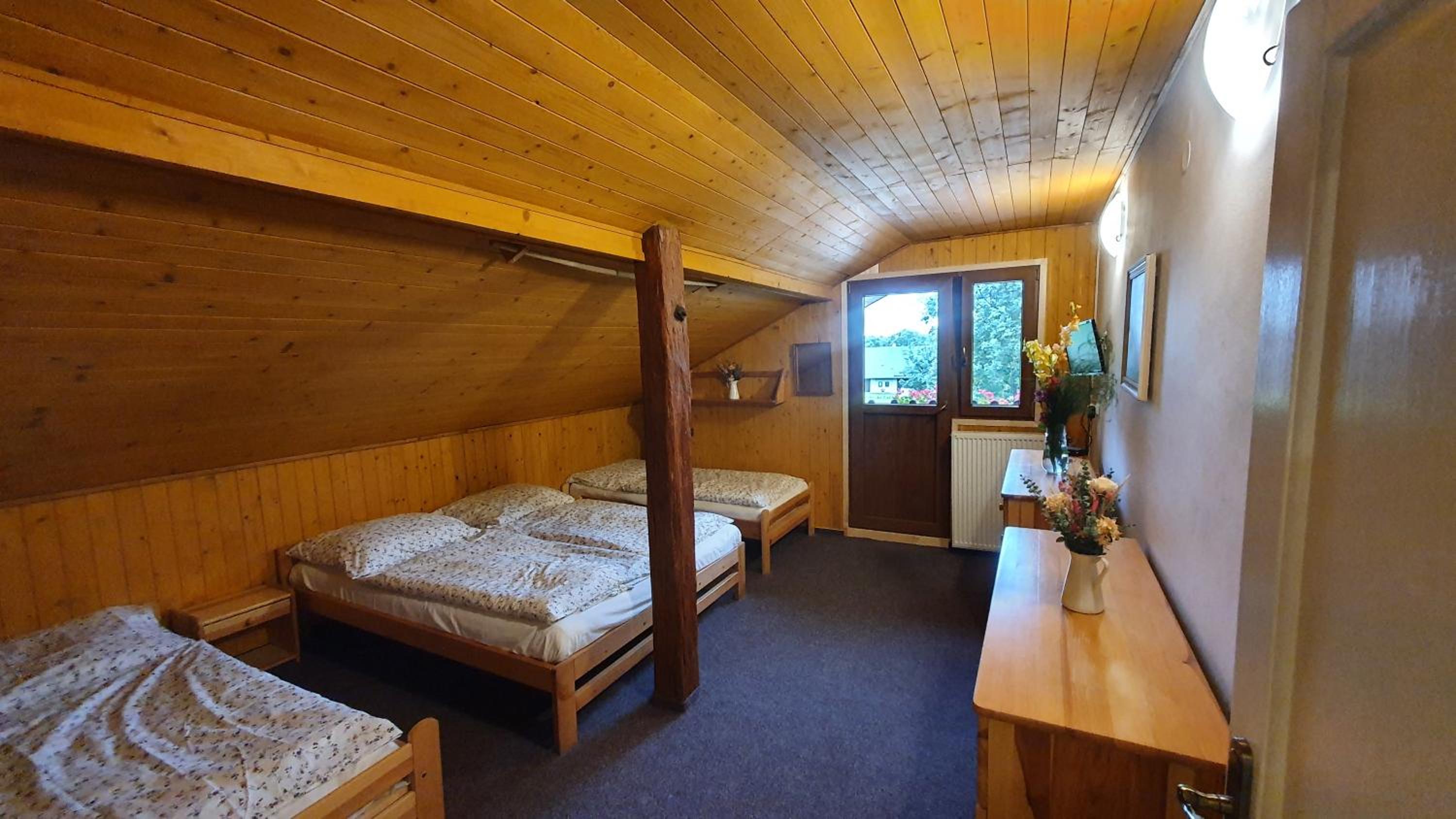 Apartmán U Profesora