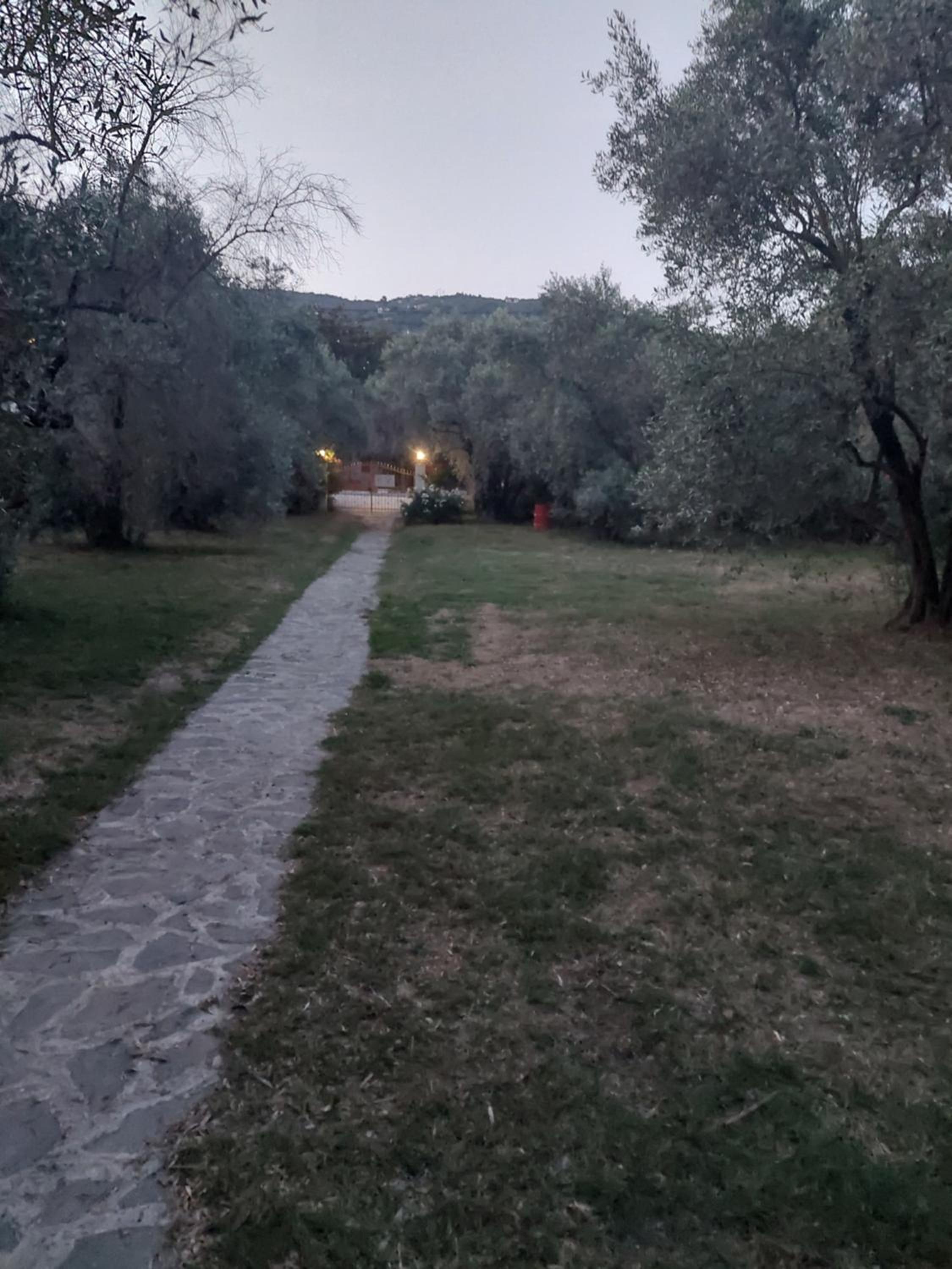 Photo 29