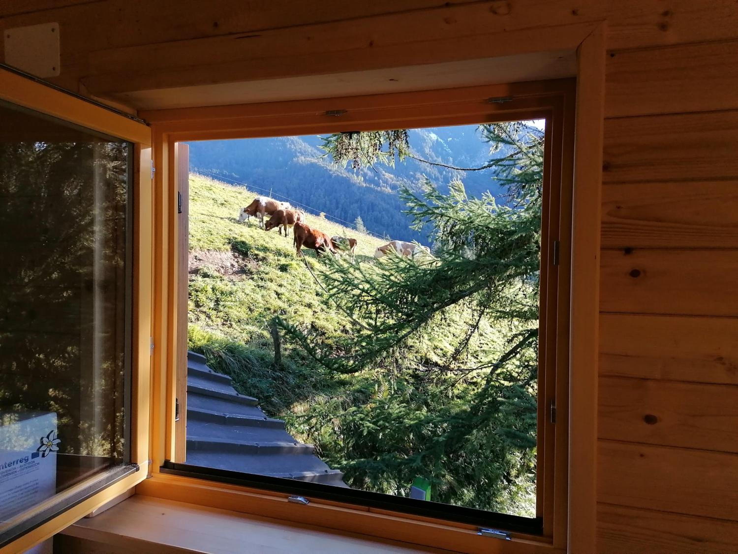Karavanke mountain hut view 2