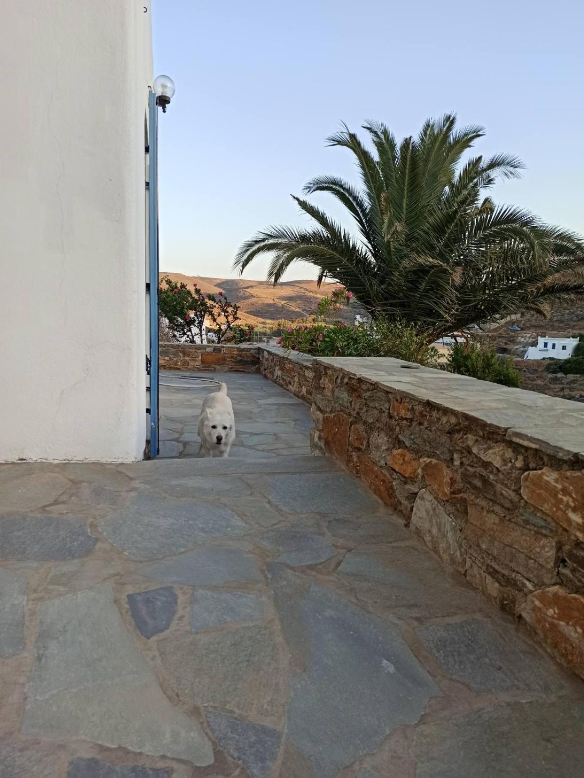 Villa Mariza Kythnos
