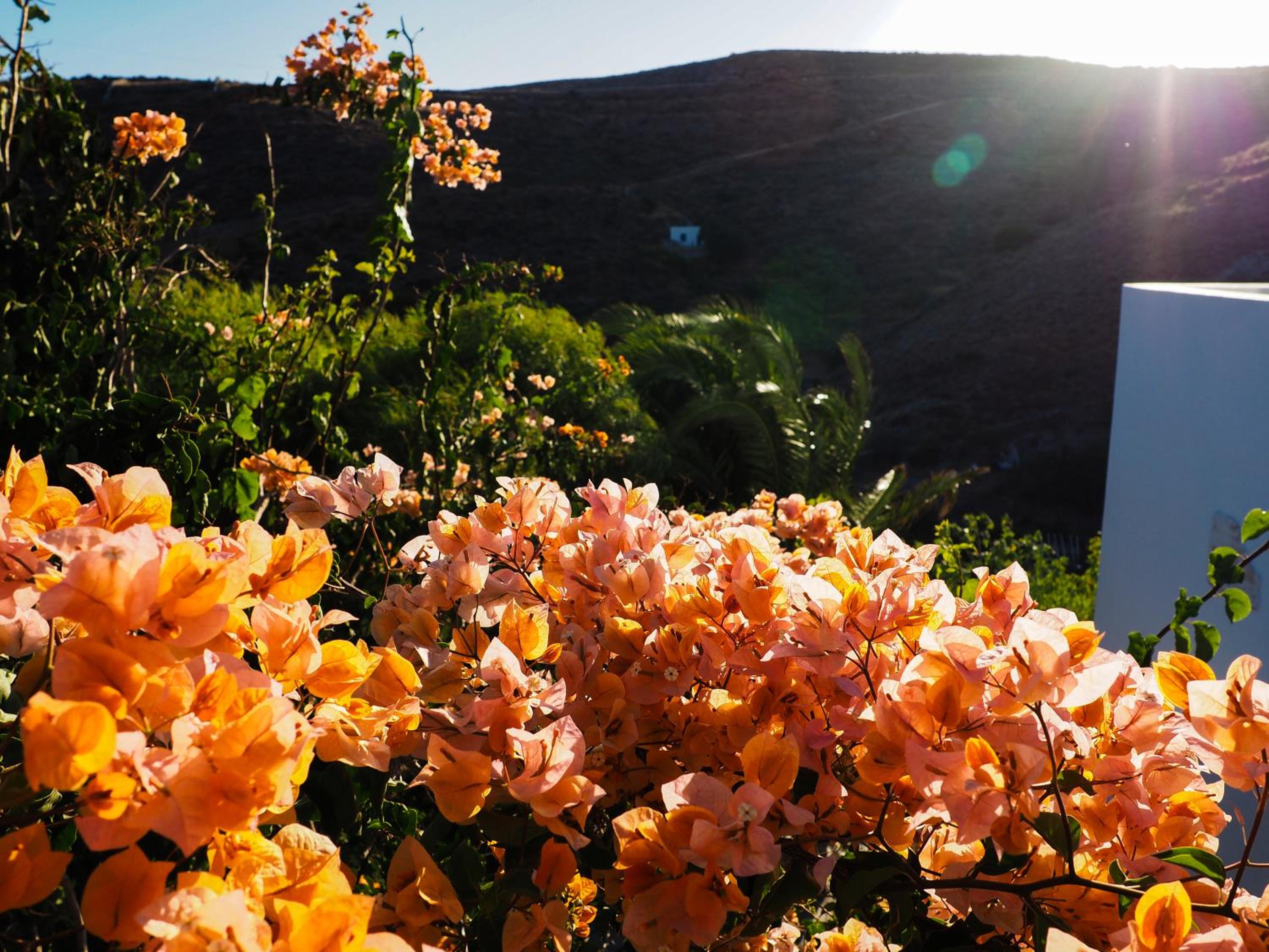 Villa Mariza Kythnos