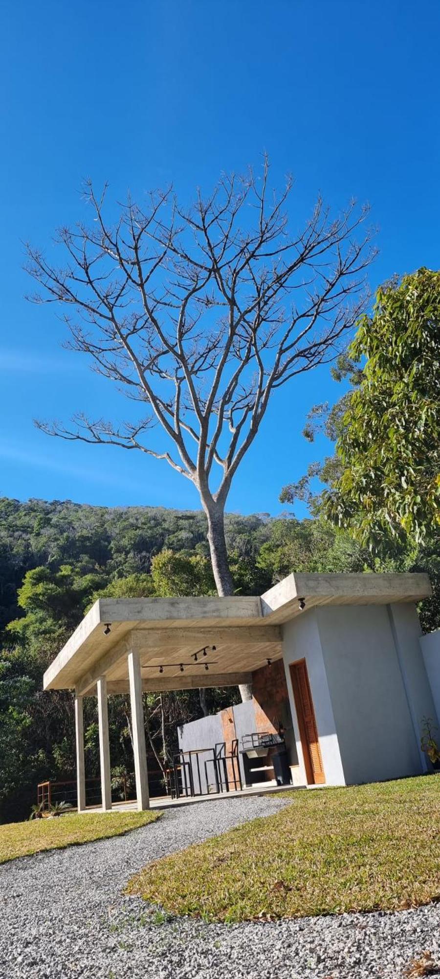 Casa Deck videiras