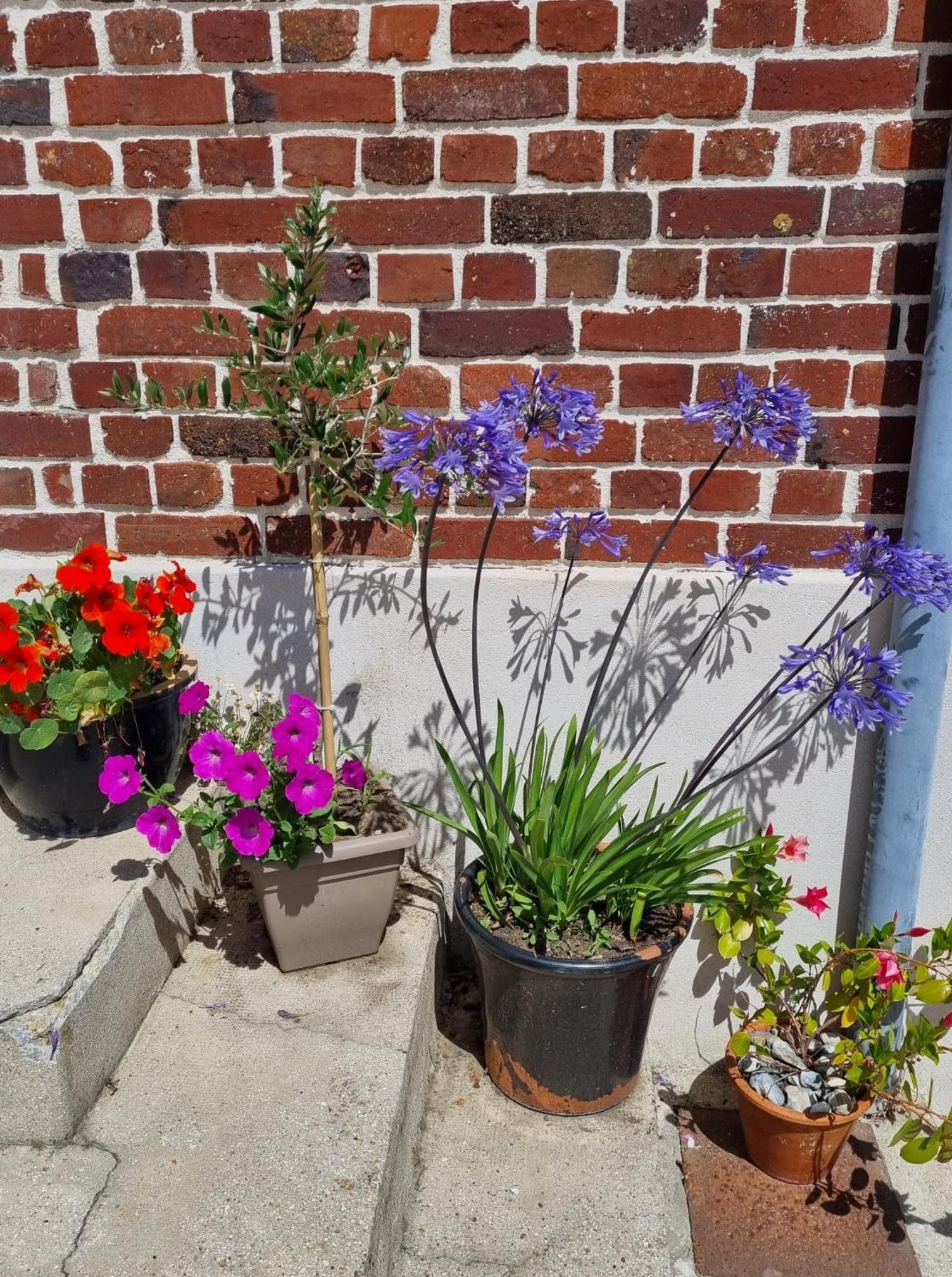 Logement entier indépendant- 2 à 4 pers - Parking clos - Terrasse