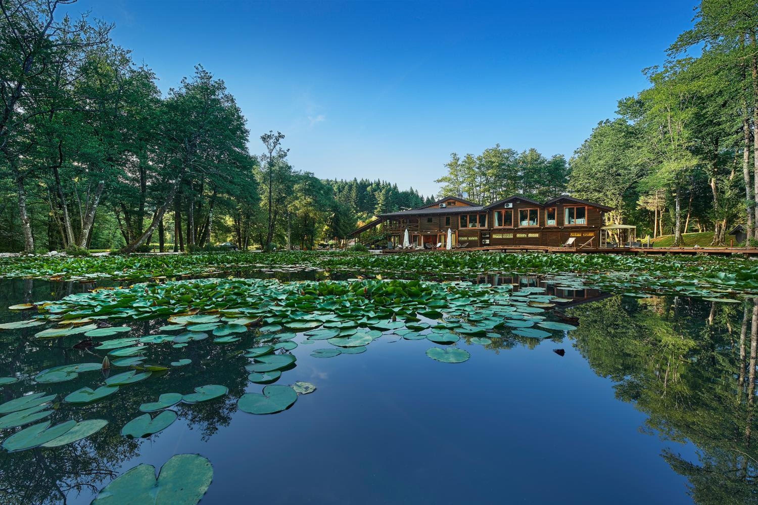 Pikol Lake Village Wine Estate, photo 13