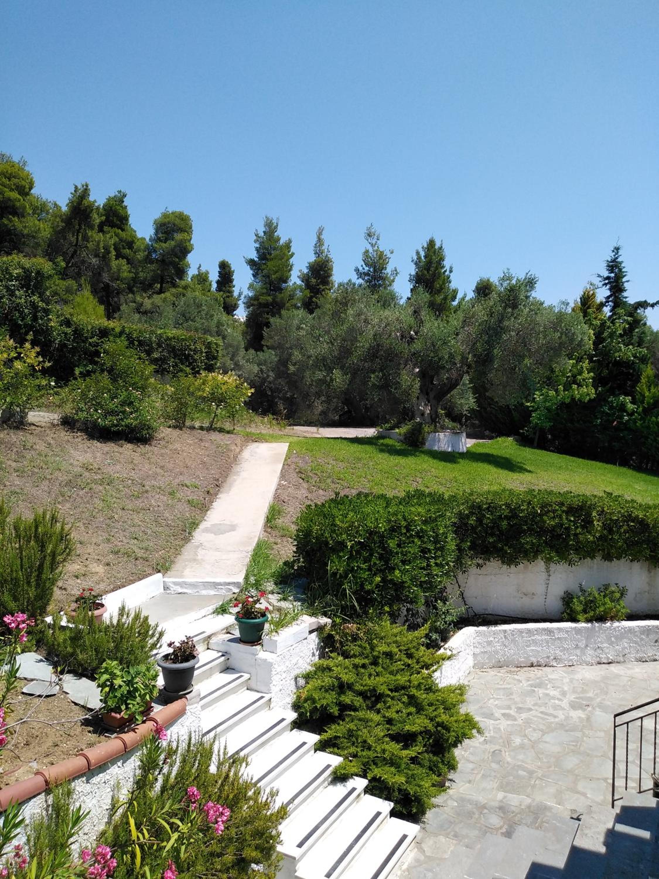 Photo 42