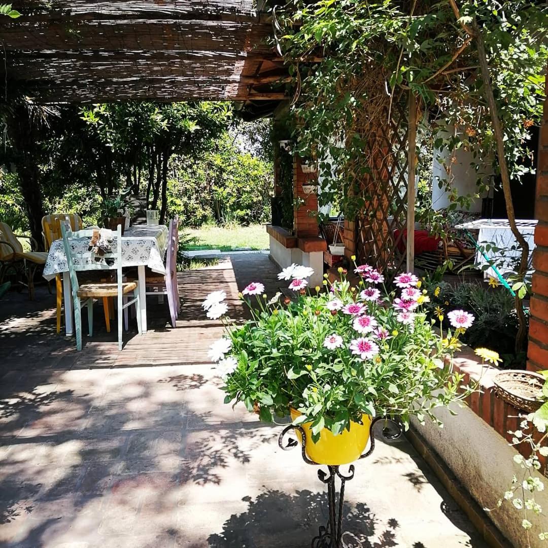 La Bricola