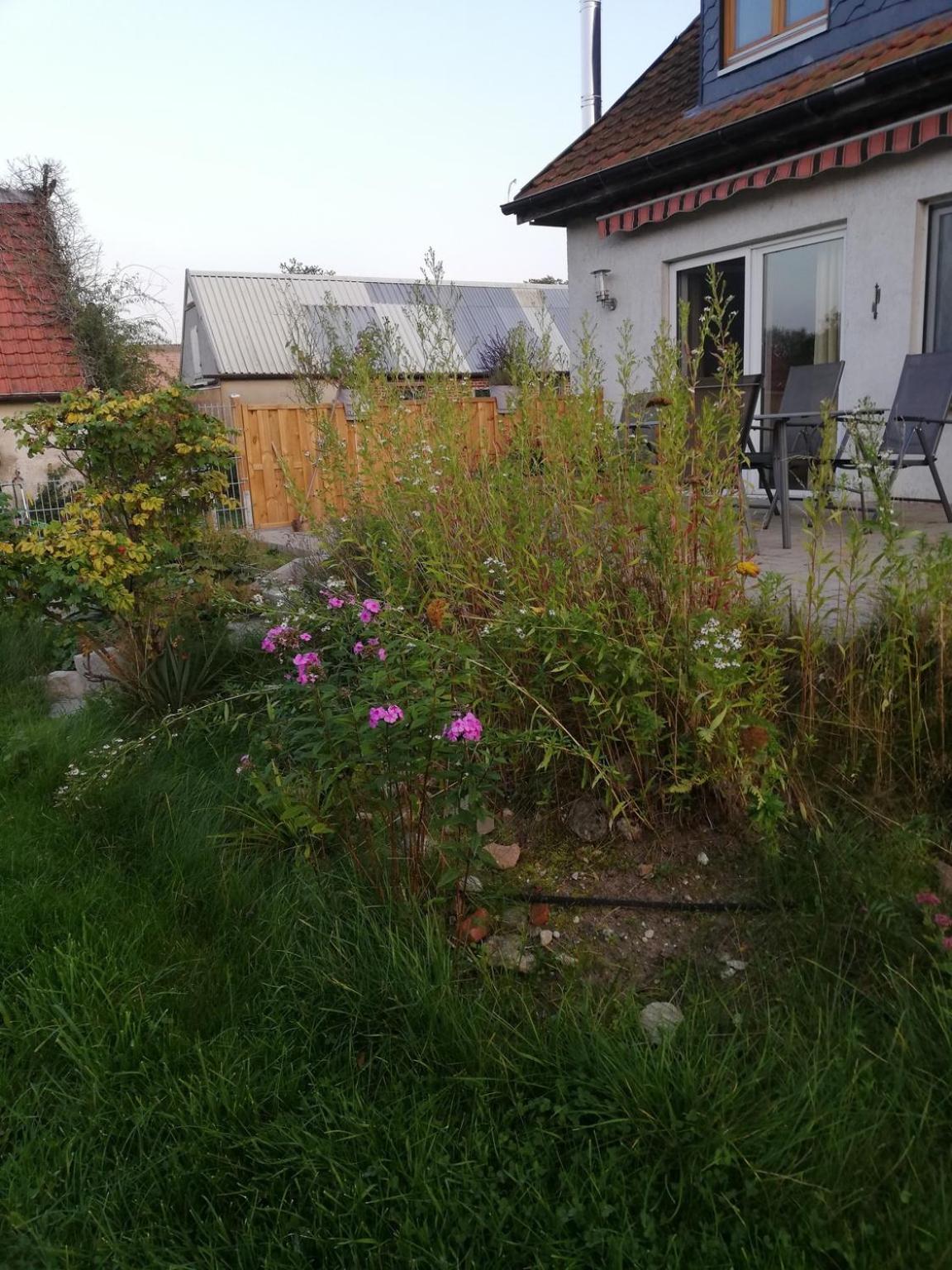 Ferienwohnung Wittenburg 1 view 2