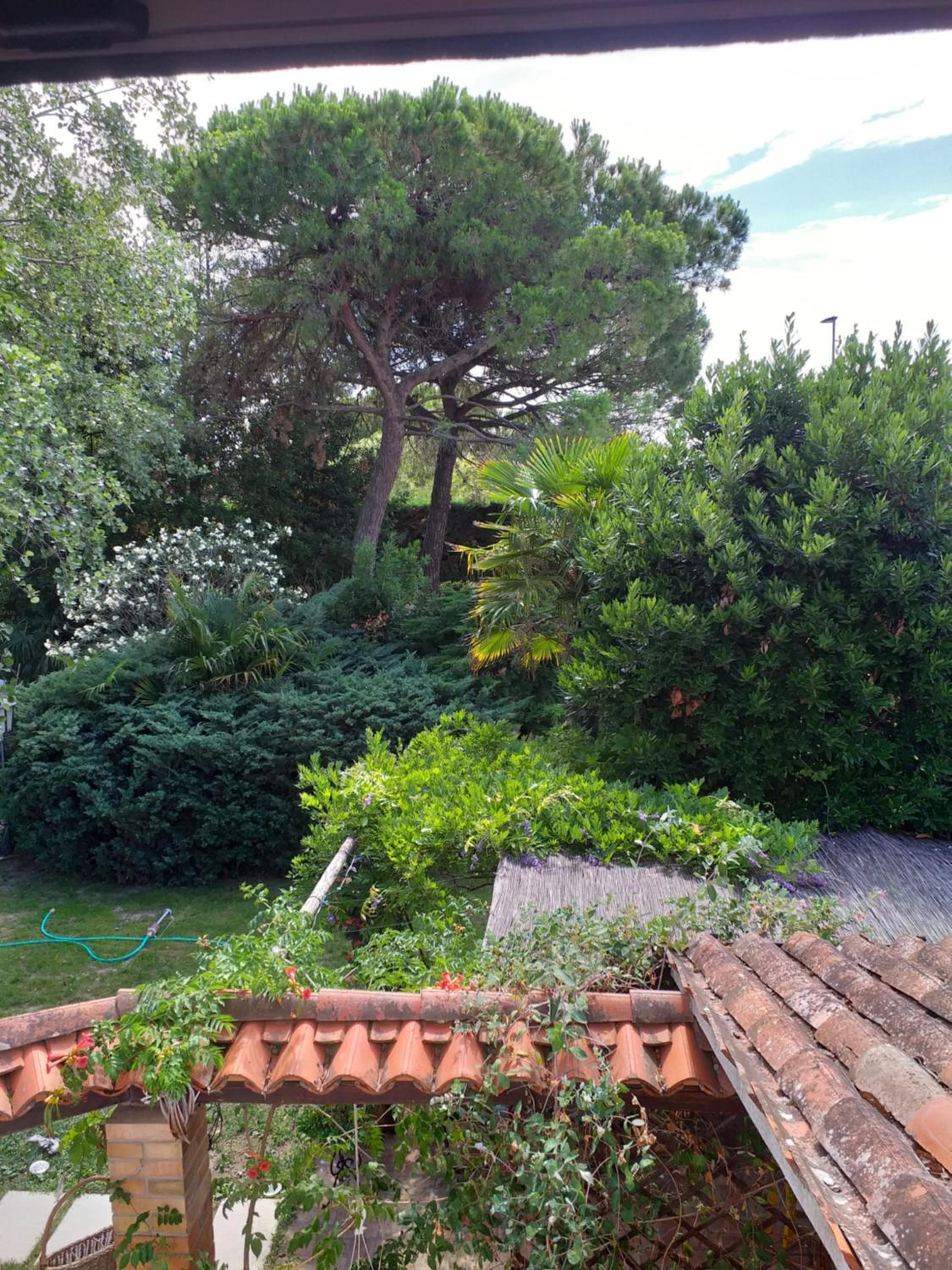 La Bricola