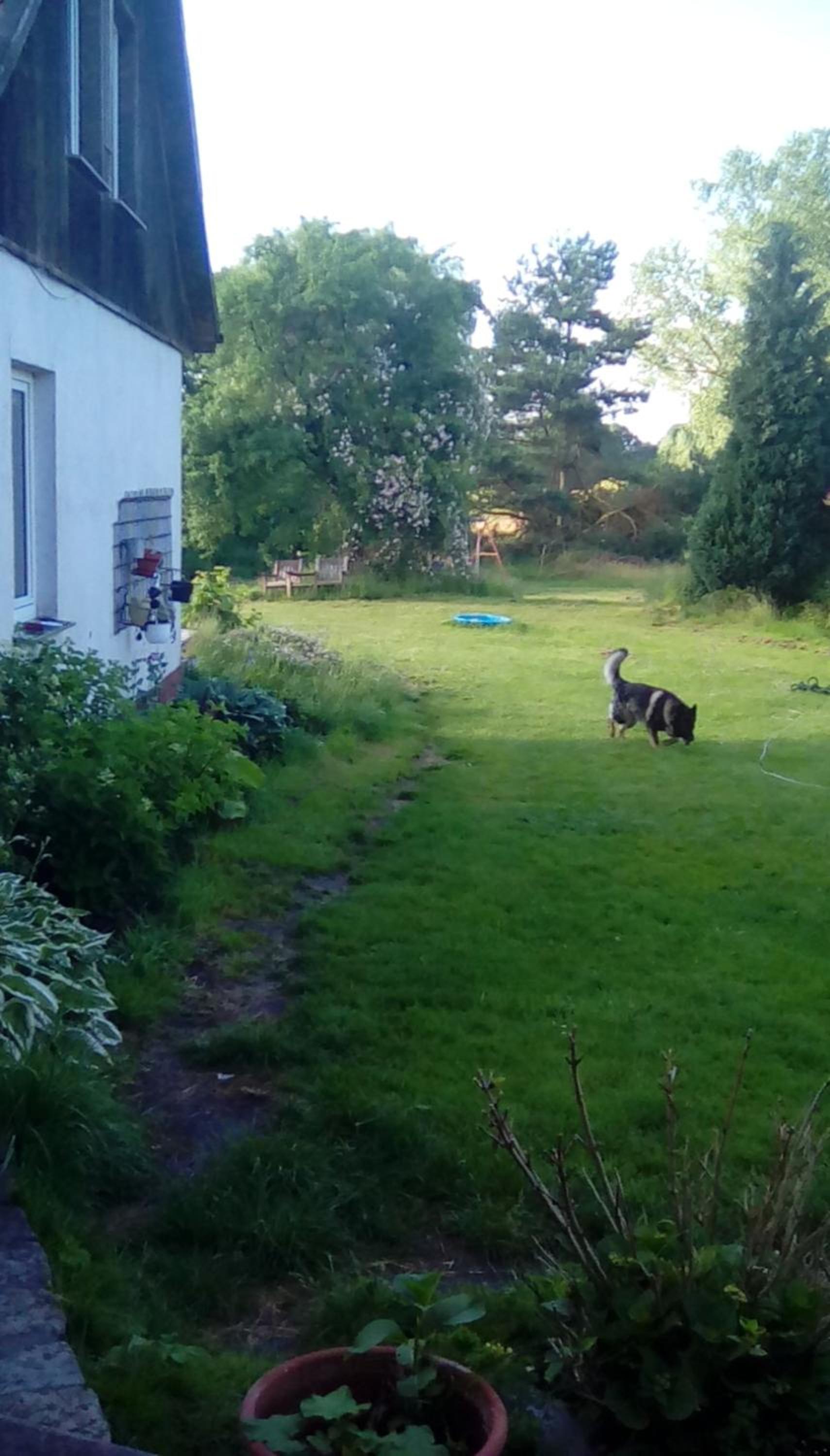 Ferienwohnung Wittenburg 1 view 5