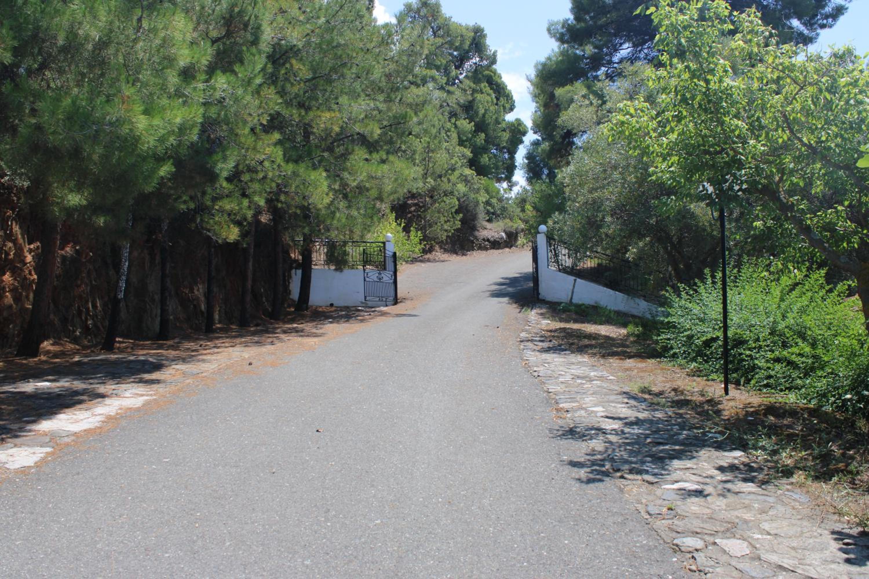 Photo 43