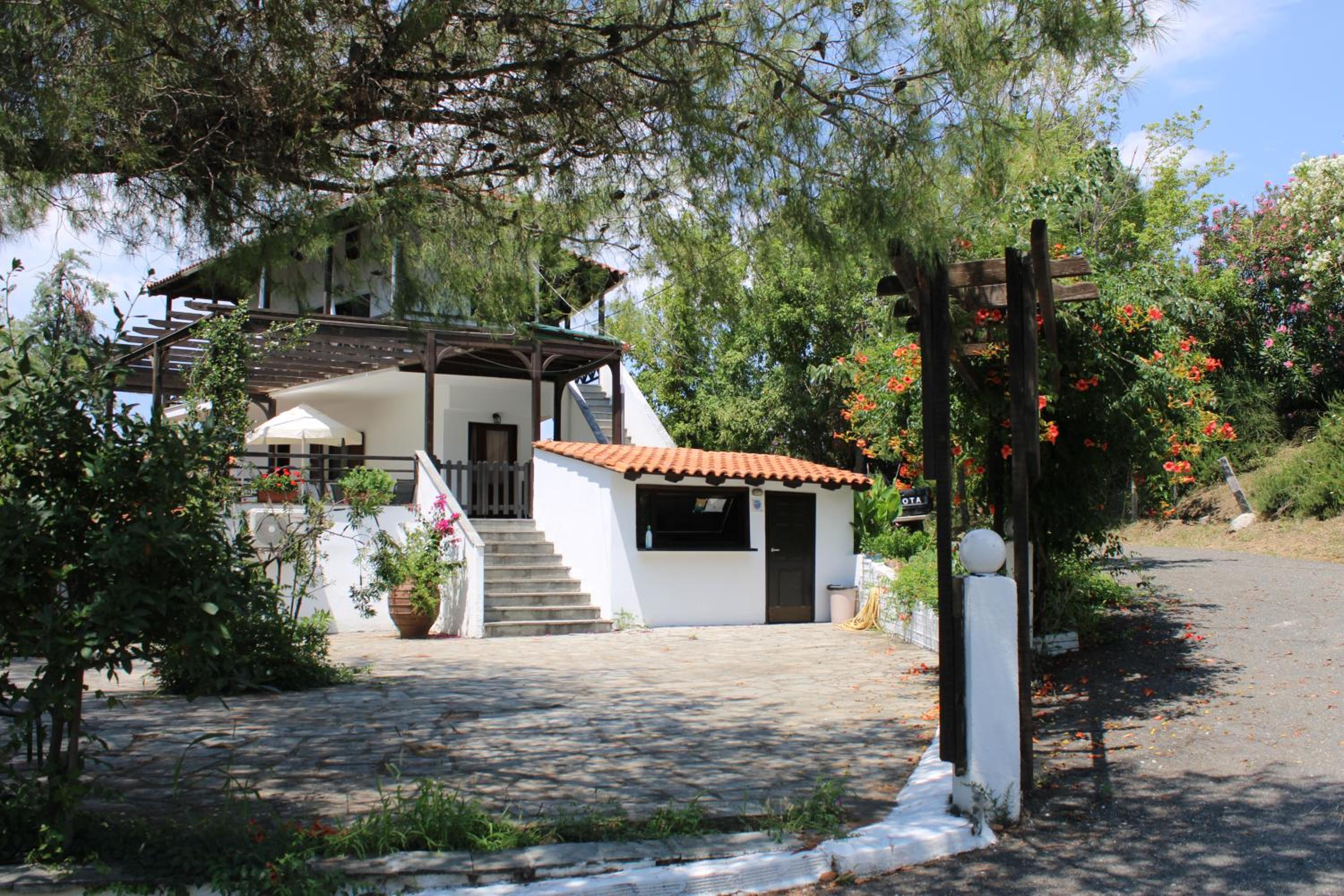 Photo 41