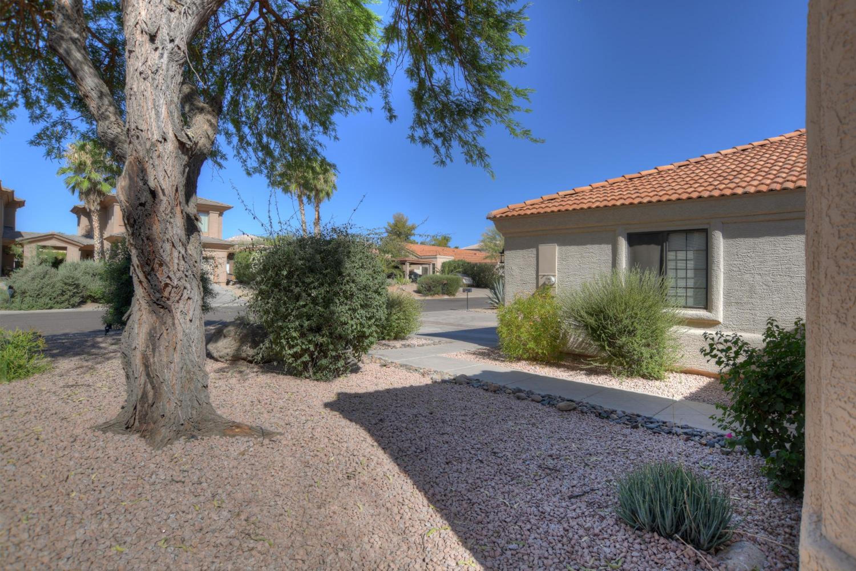 Bungalow West in Fountain Hills AZ view 5
