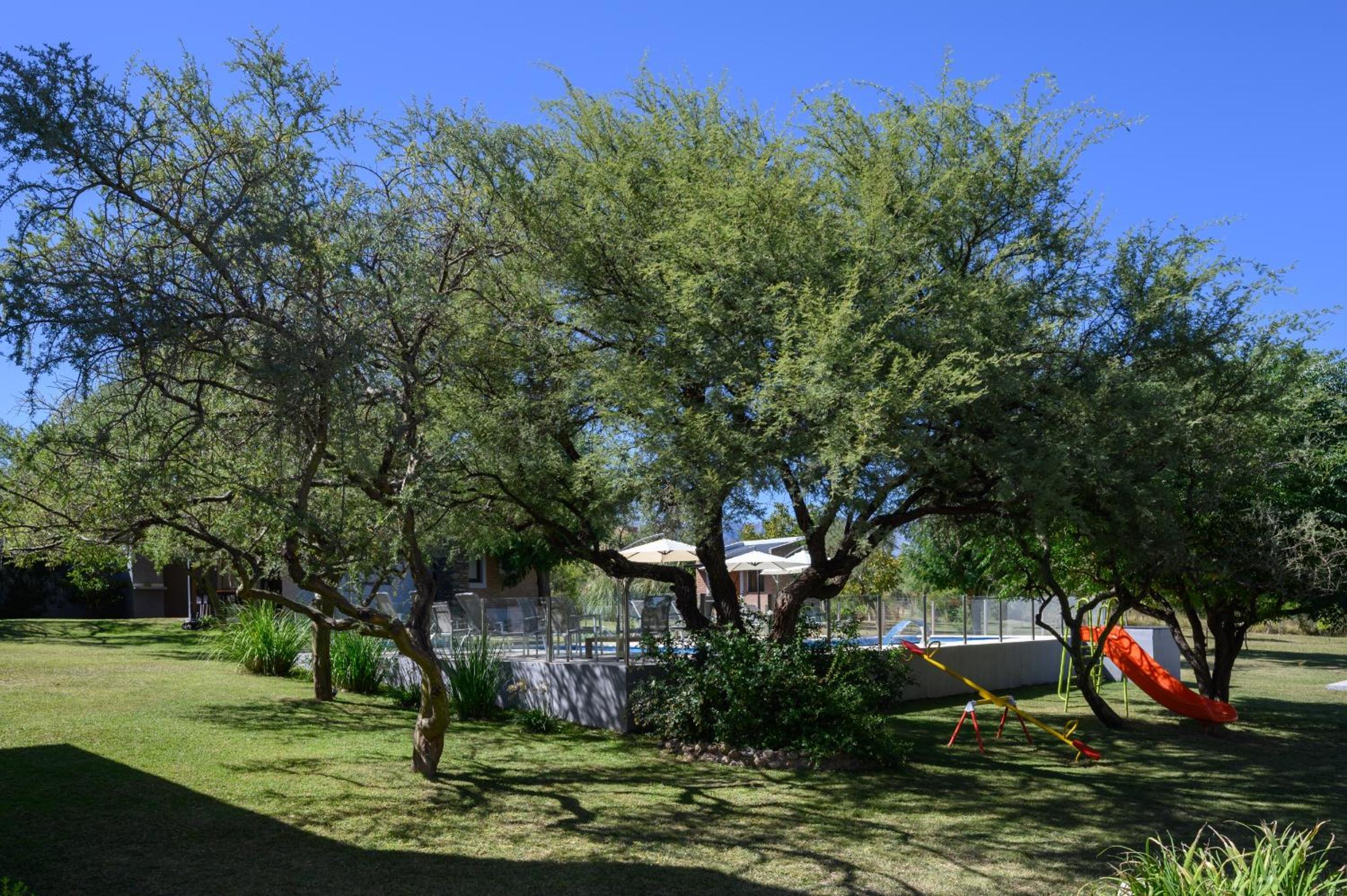 Casas Acrux