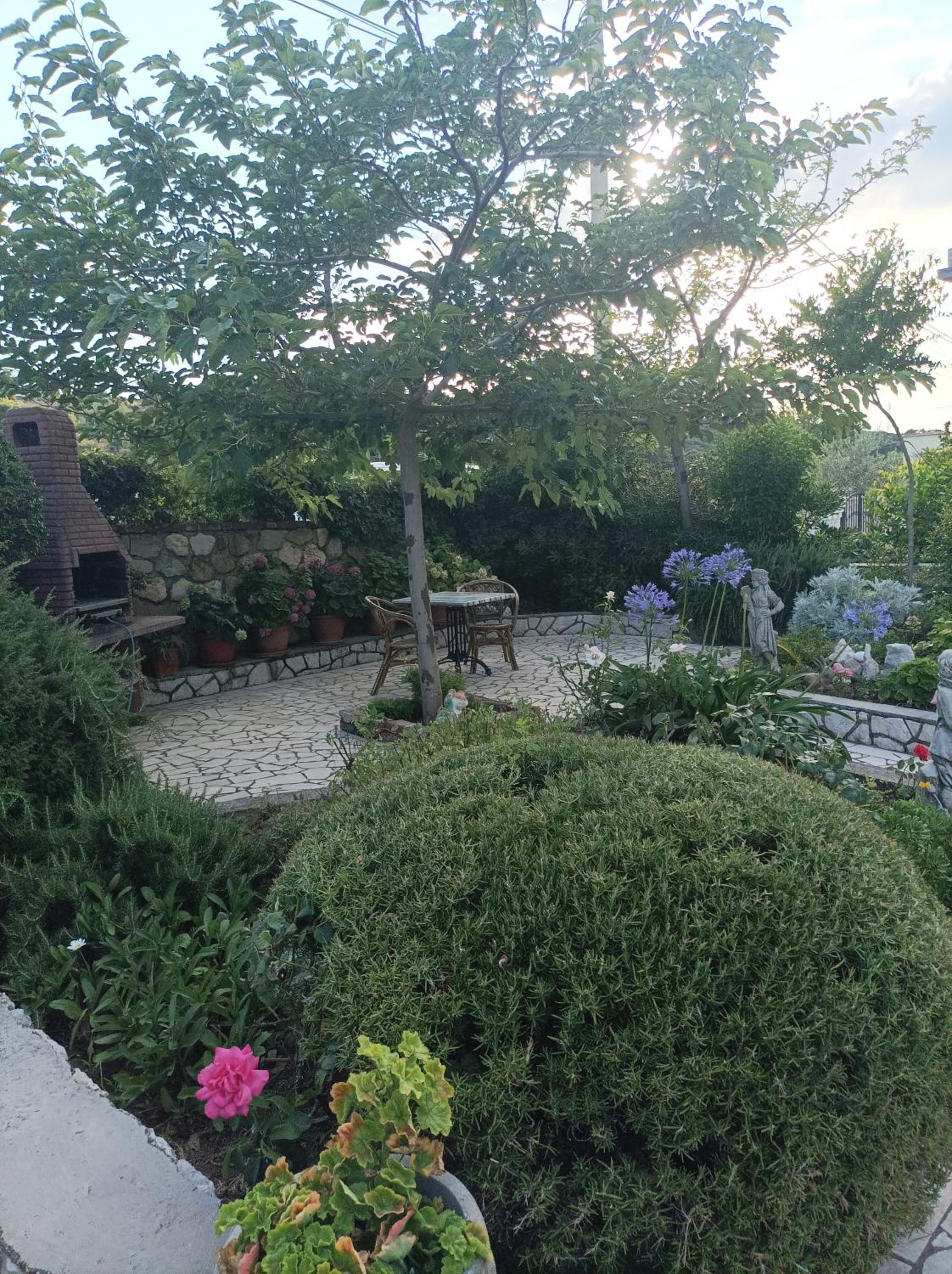 Photo 32