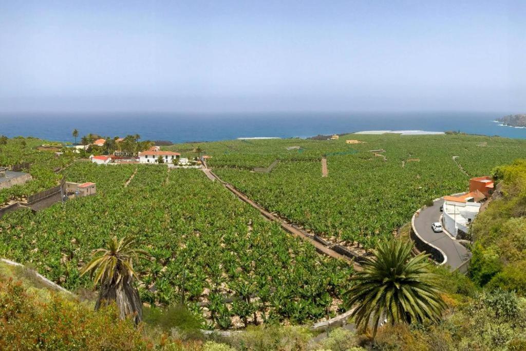 CASA CANARIA ACERÓ