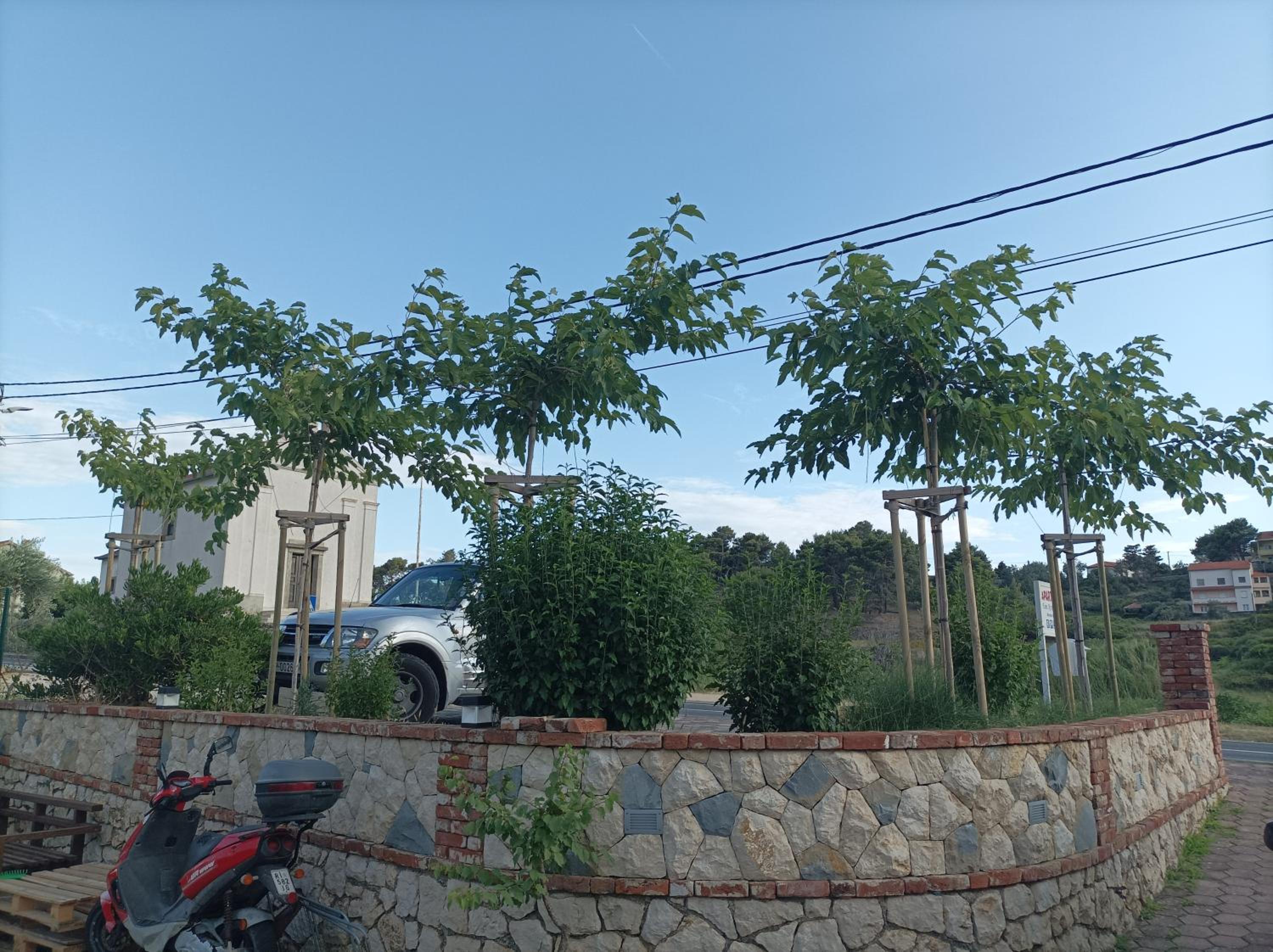 Photo 10