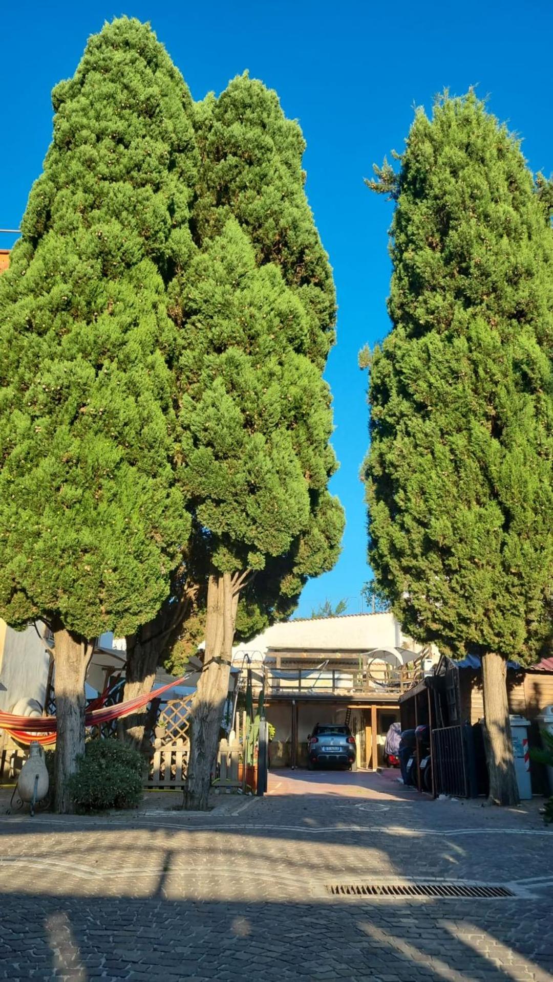 parking