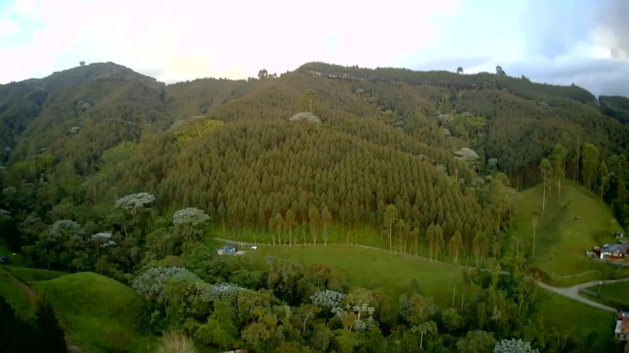 Photo 48