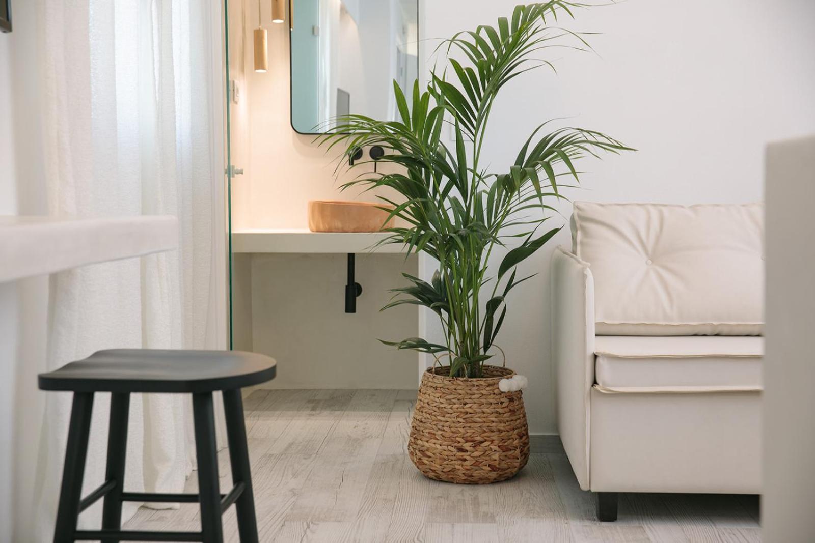 Hermes Luxury Suites photo 5