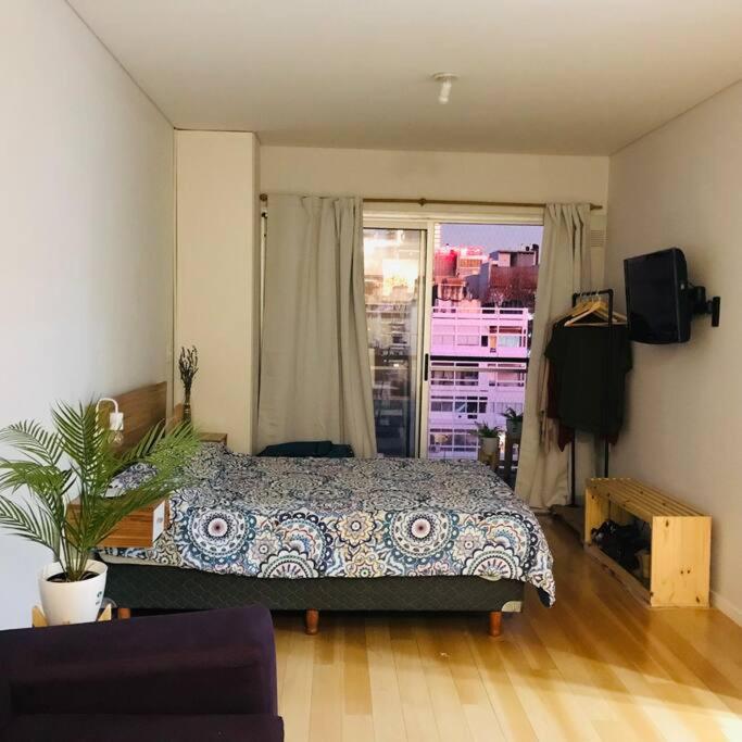 Bonpland Studio-Loft en Palermo Hollywood