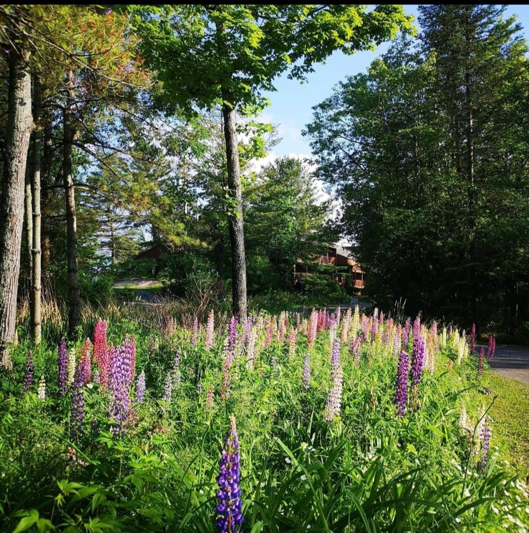 Westwind Inn on the Lake