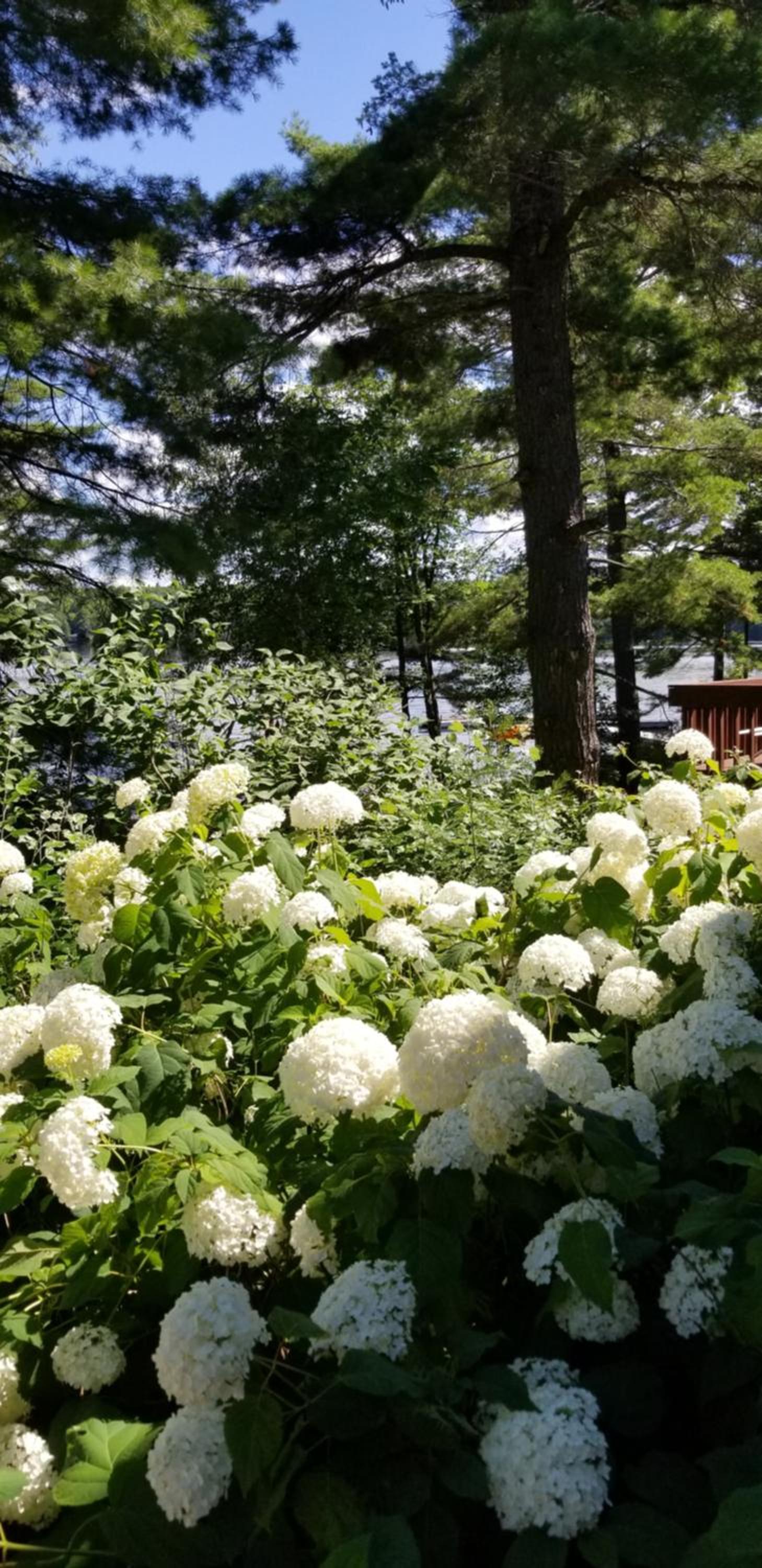 Westwind Inn on the Lake