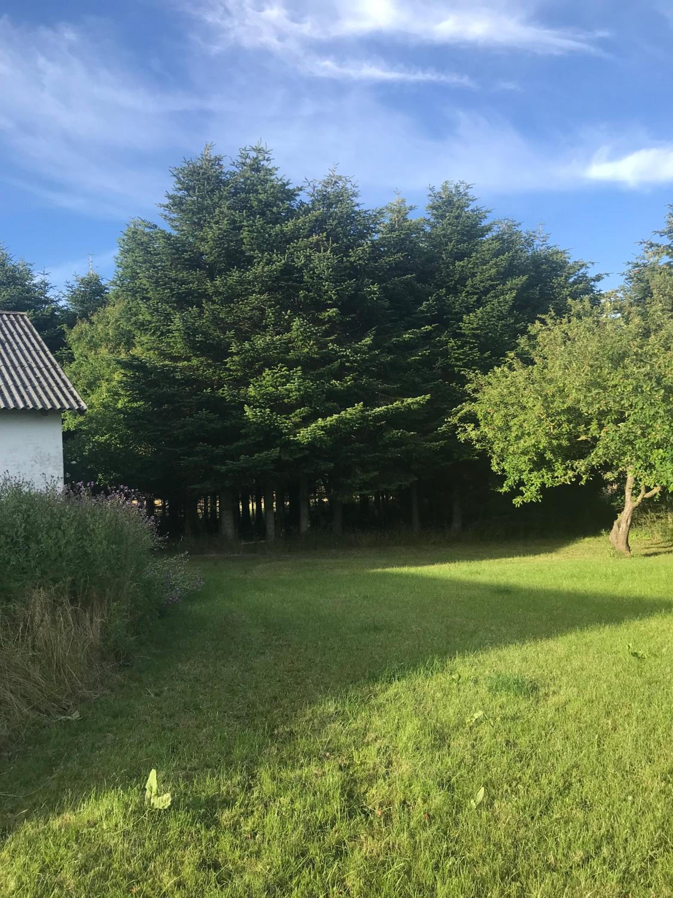Sommerhus på Mors