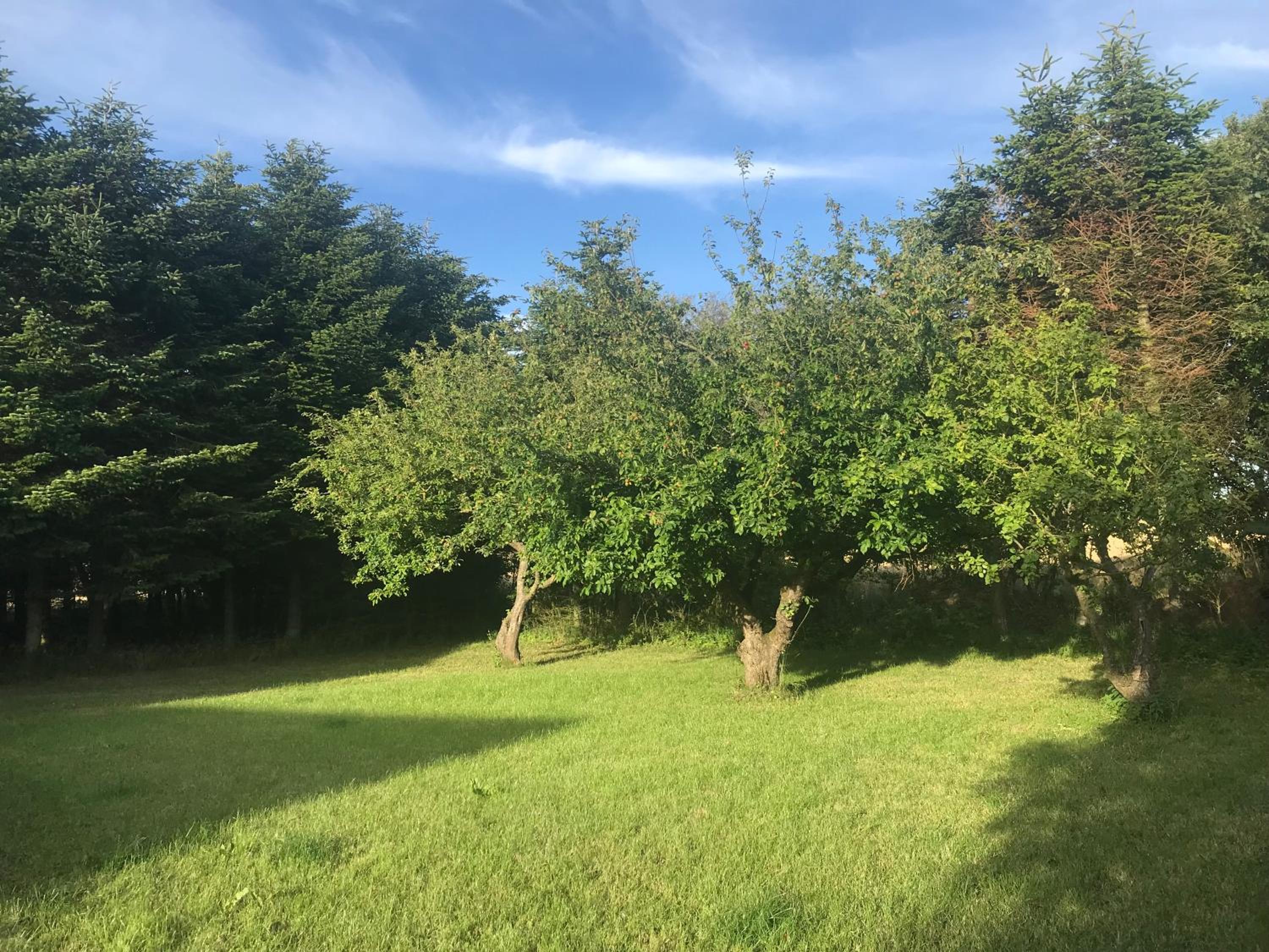 Sommerhus på Mors