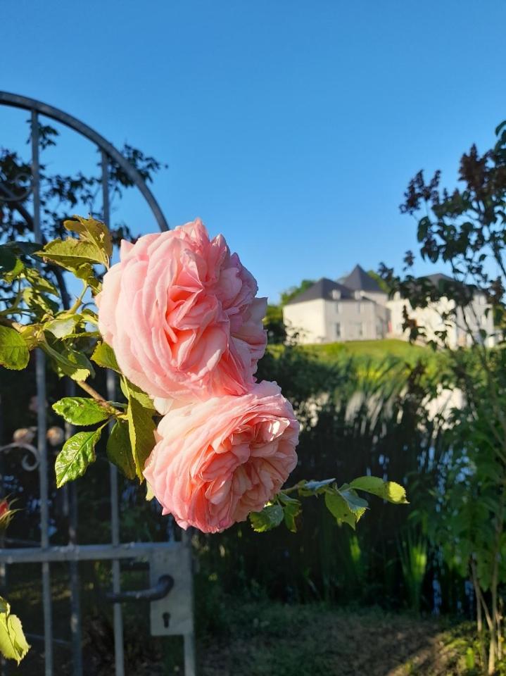 Domaine de Lardoisière