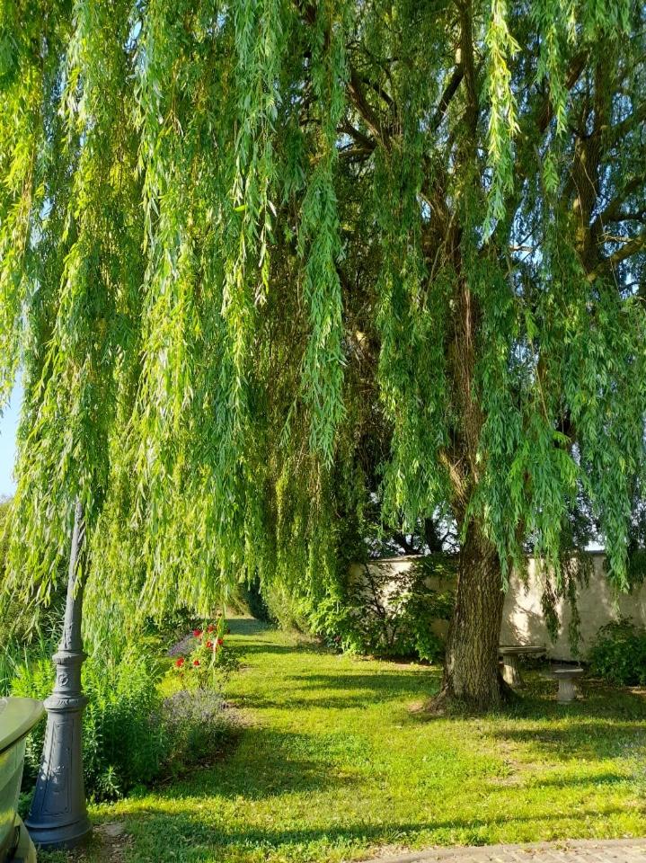 Domaine de Lardoisière