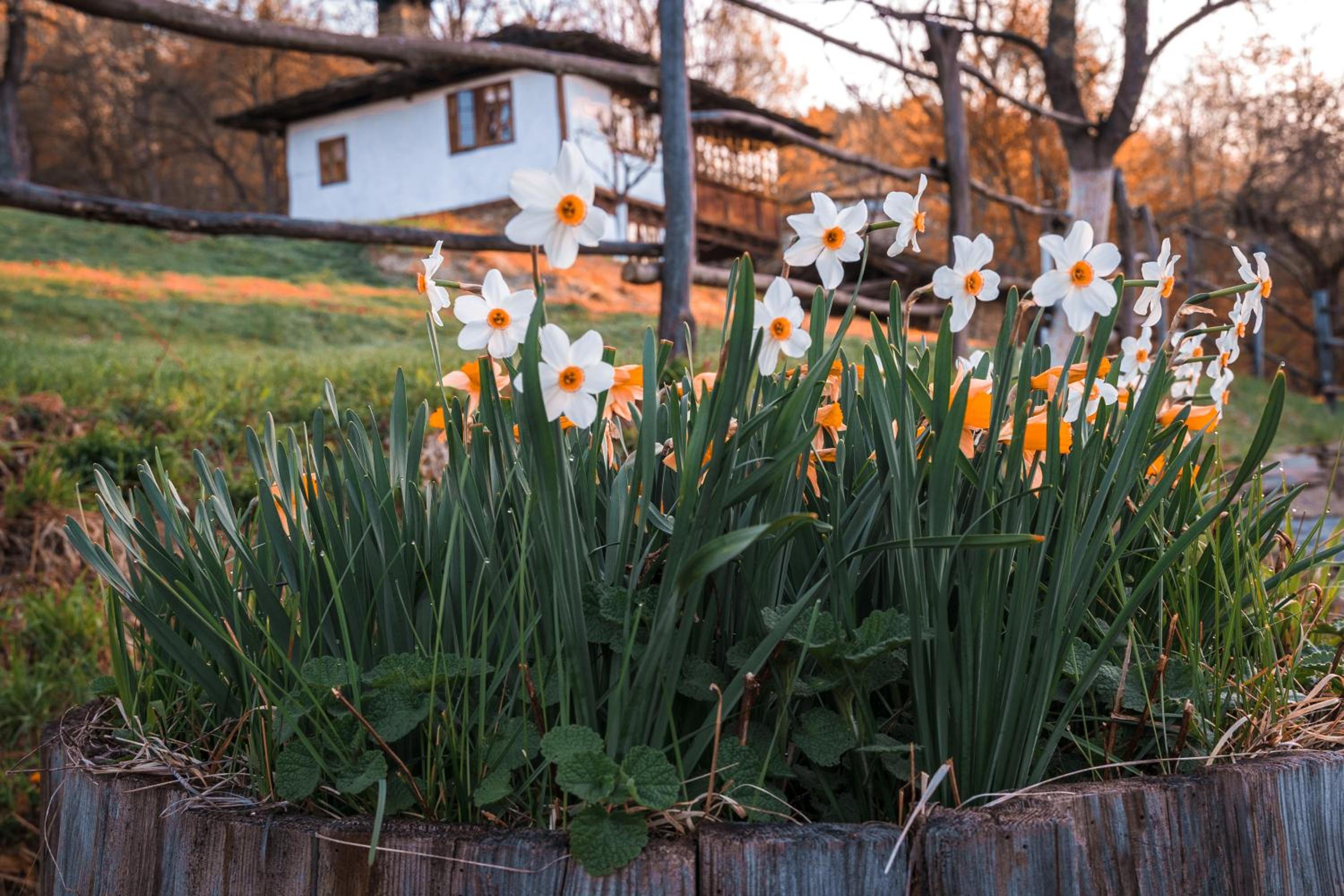 Authentic House with Stunning Mountain View - Karashka