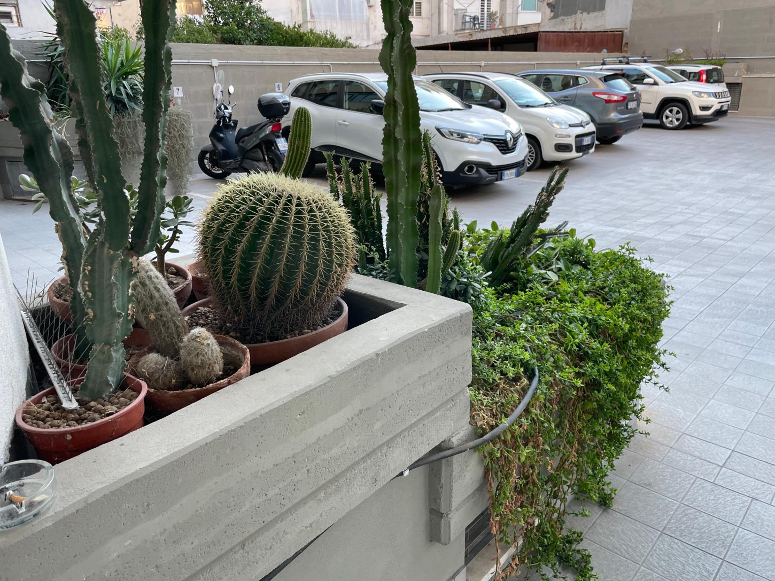 Central Modern Apartment Bari