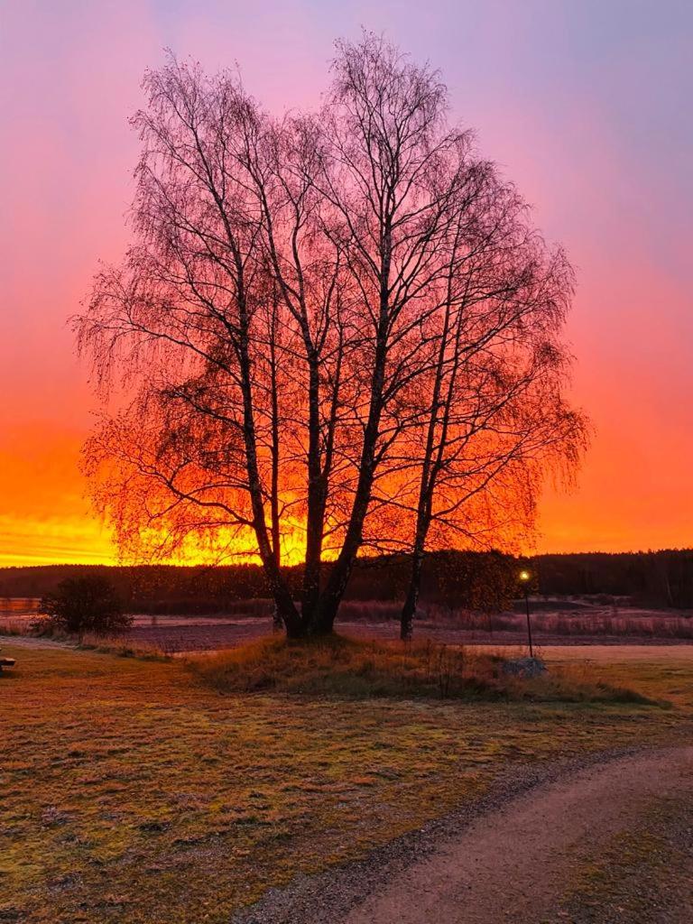 Älvstalodges