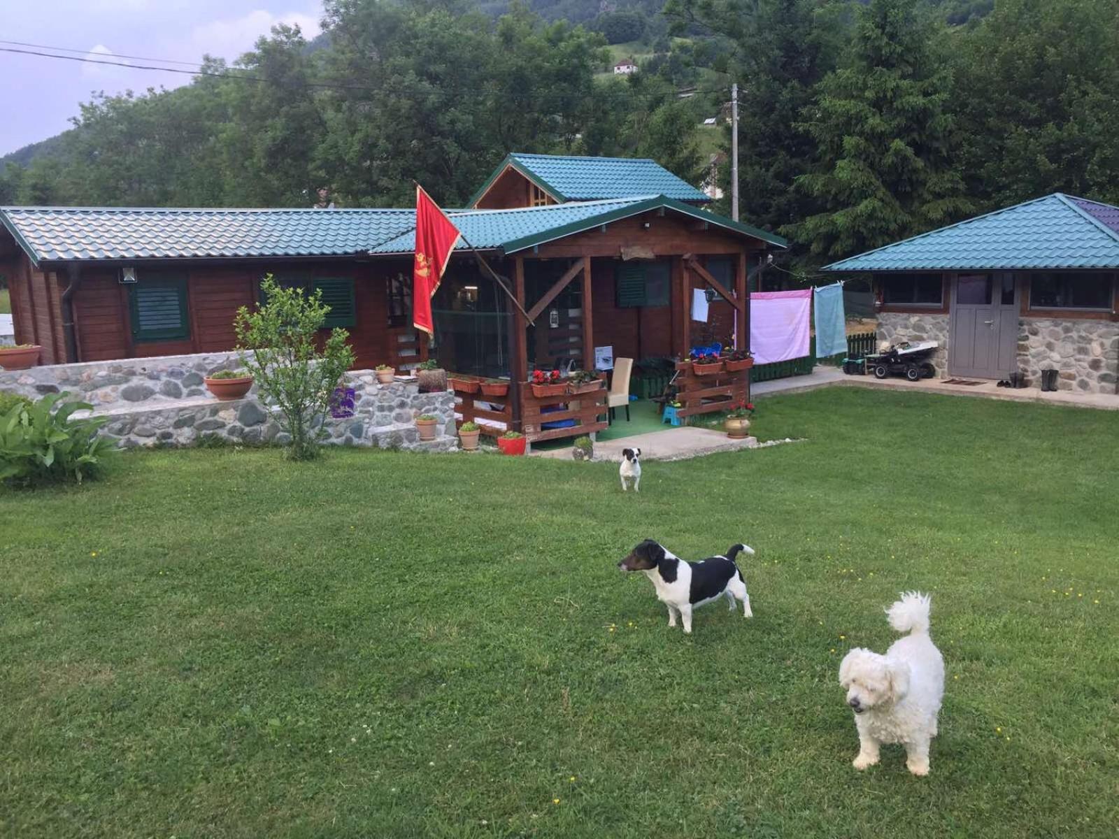 Cottage Ravna Rijeka view 3