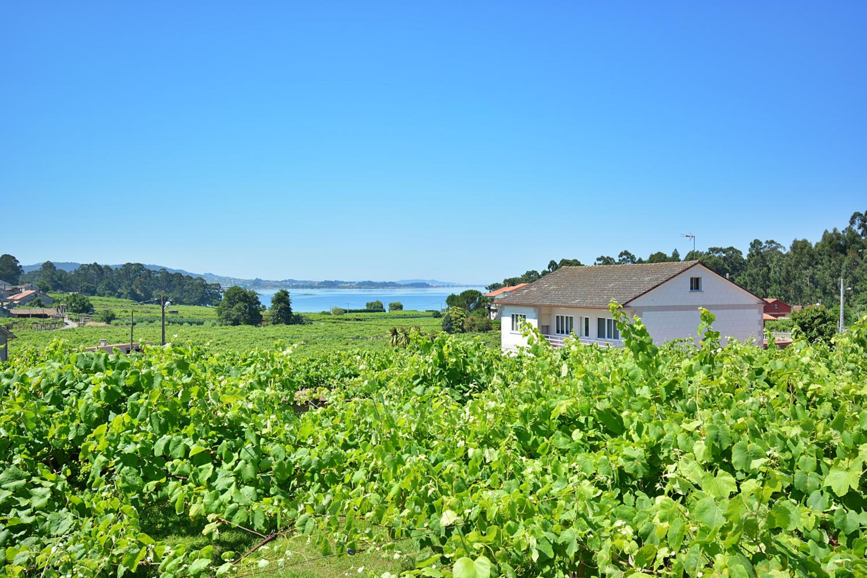 GALIHOST - Casa con vistas al mar en Cambados