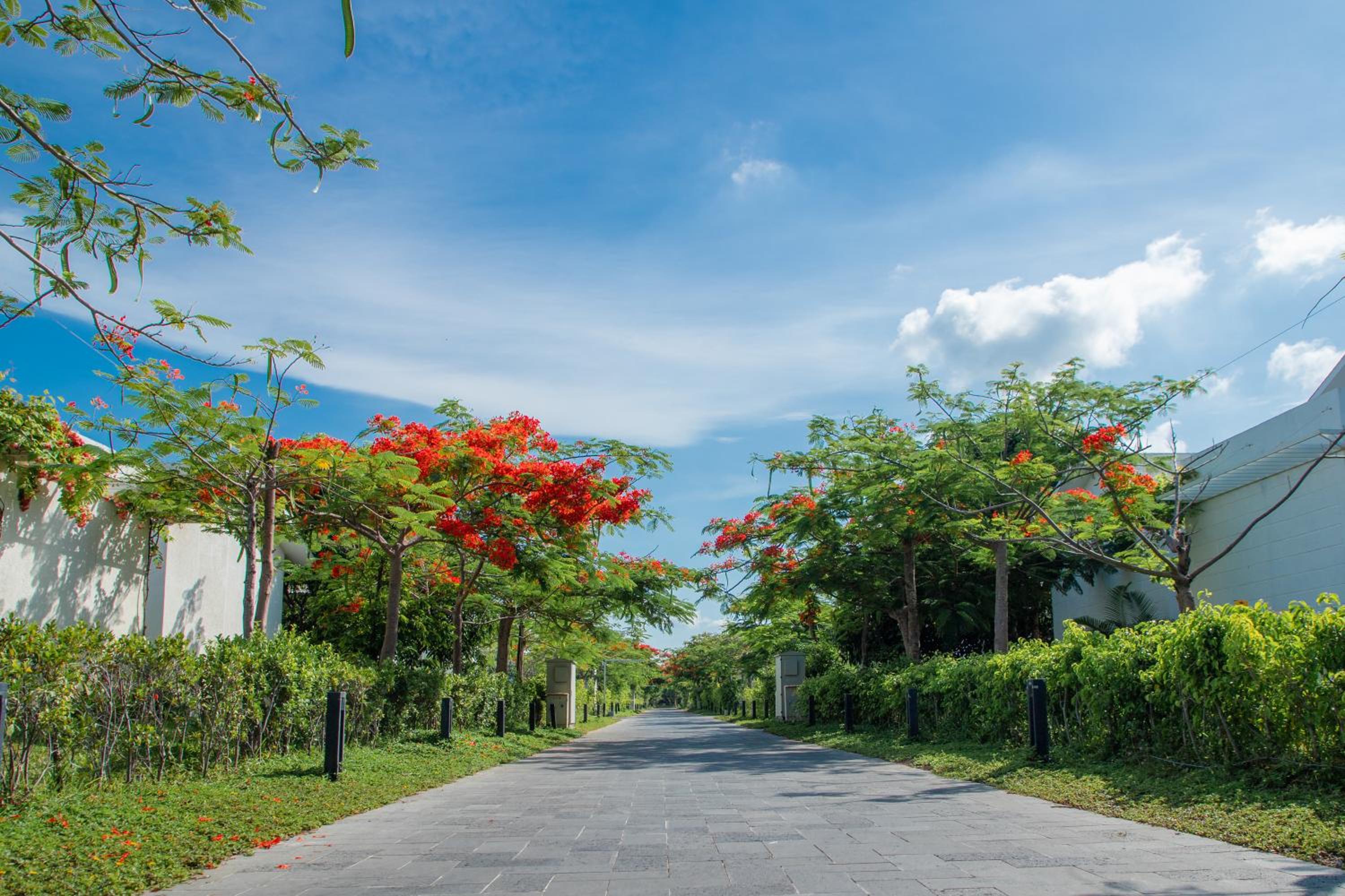 Perolas Villas Resort - Ke Ga Bay view 4