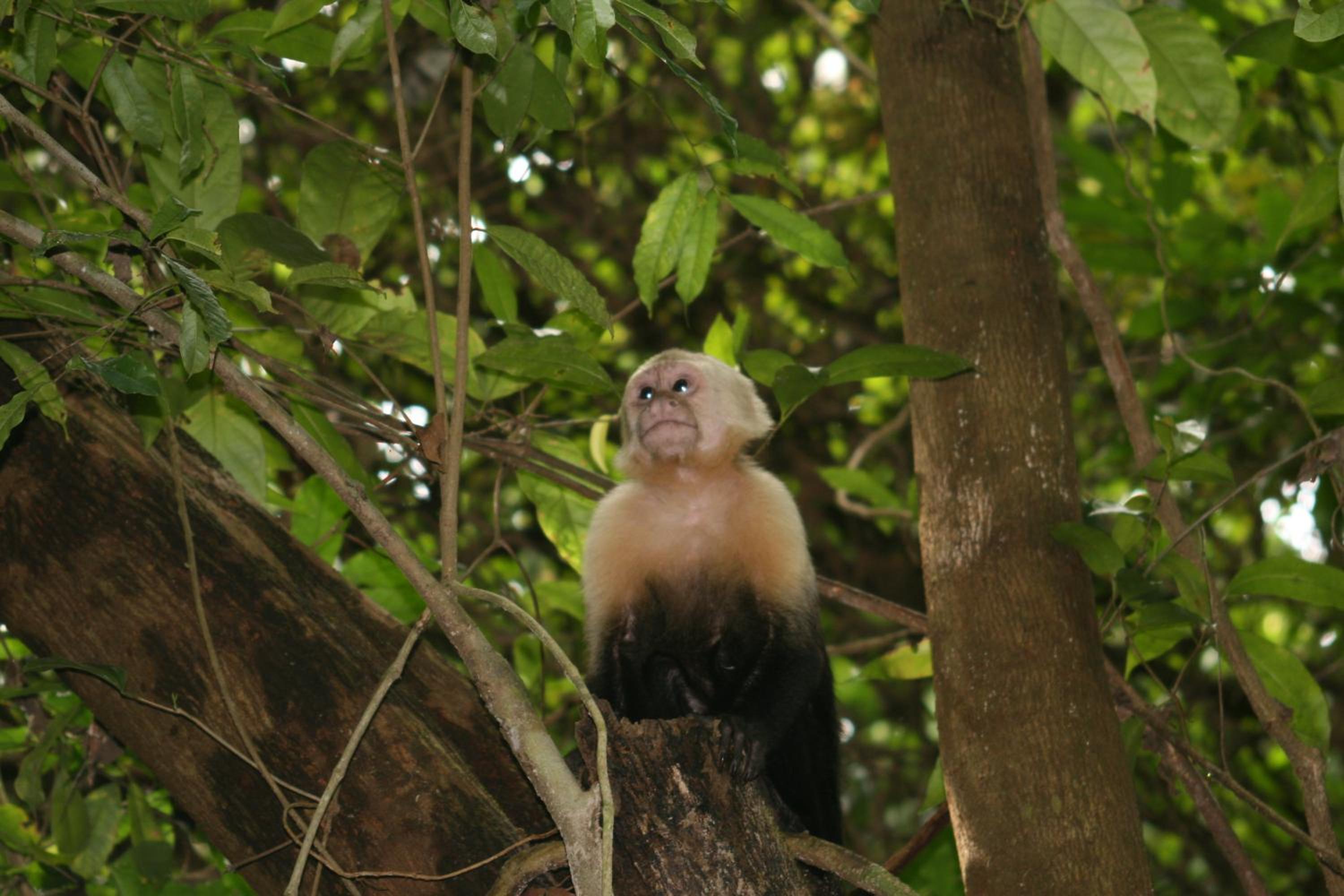 other