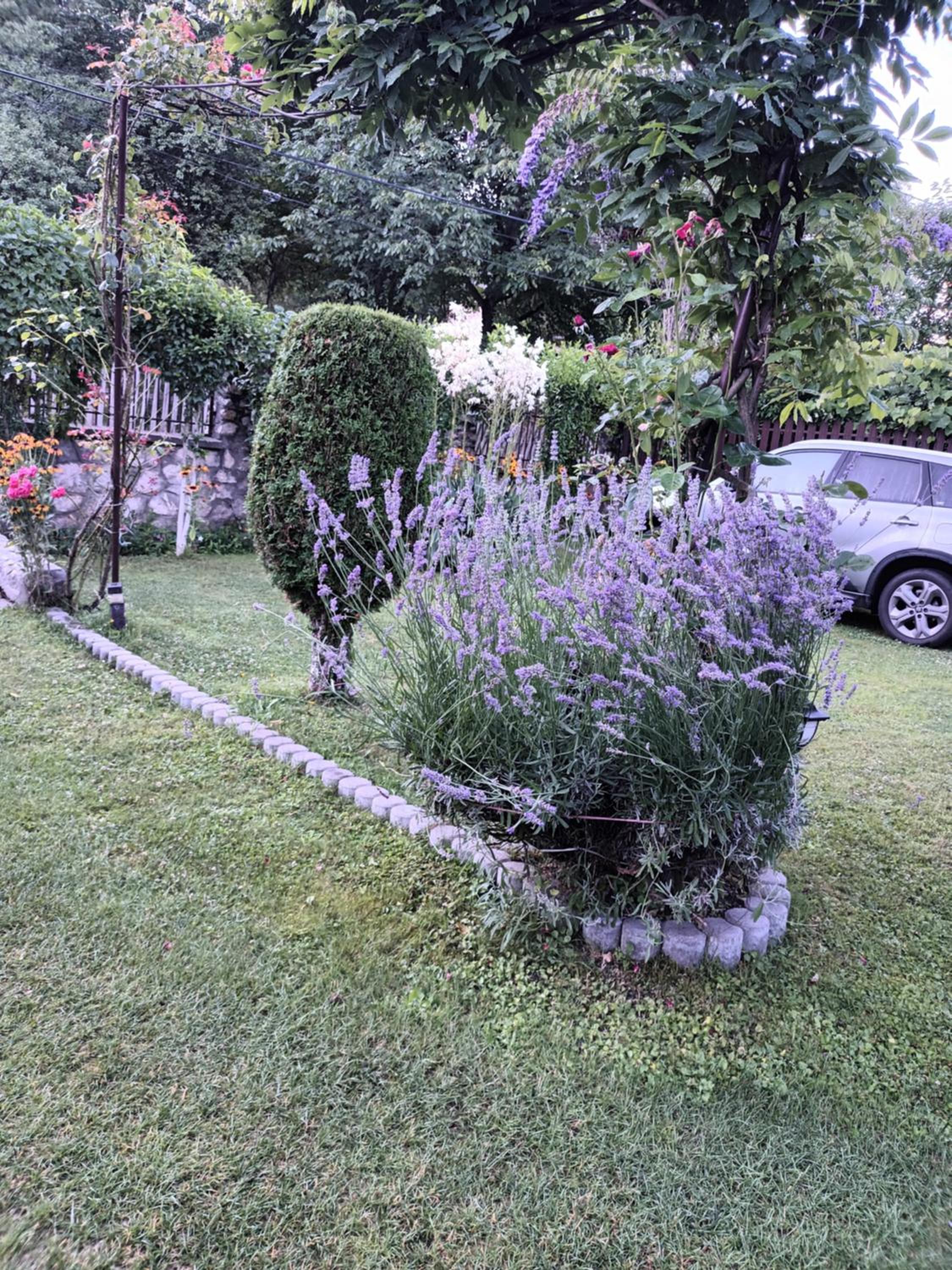 Casa Bunicii, casa de voyageurs en Costeşti