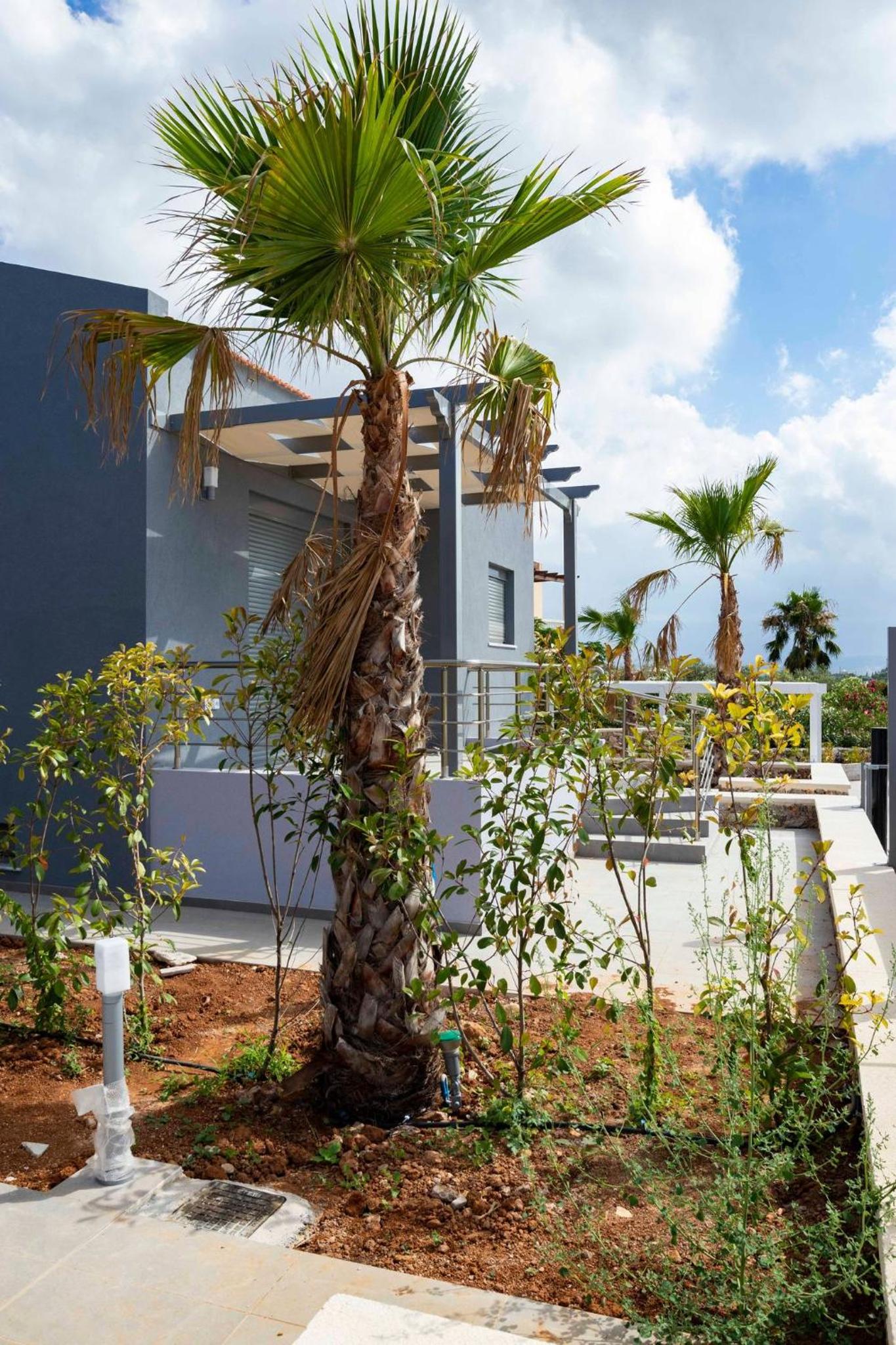 Electra Villas
