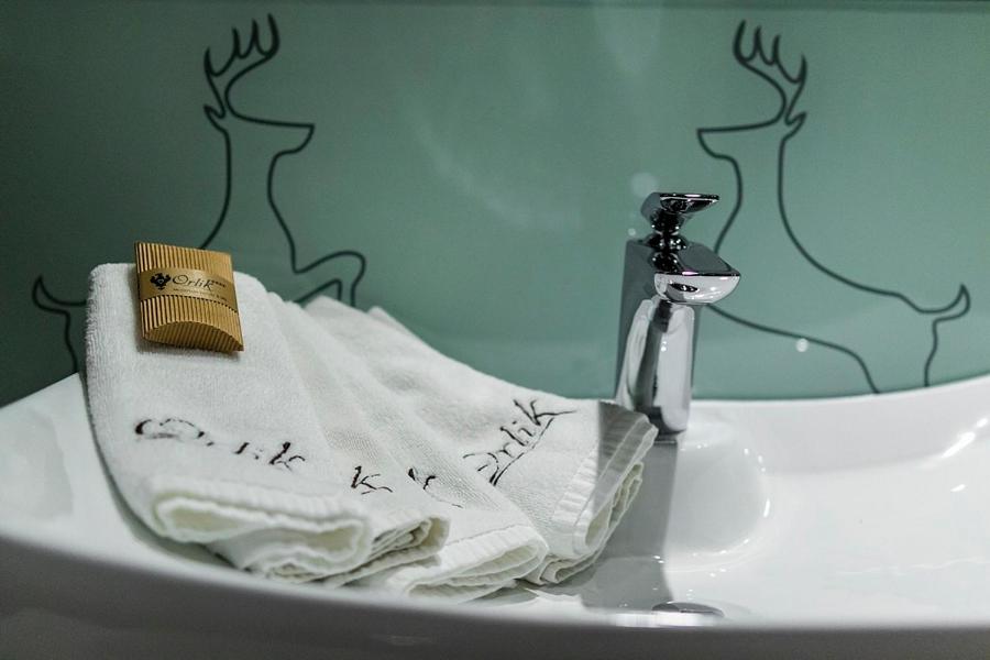 Pensjonat Orlik Mountain Resort&SPA