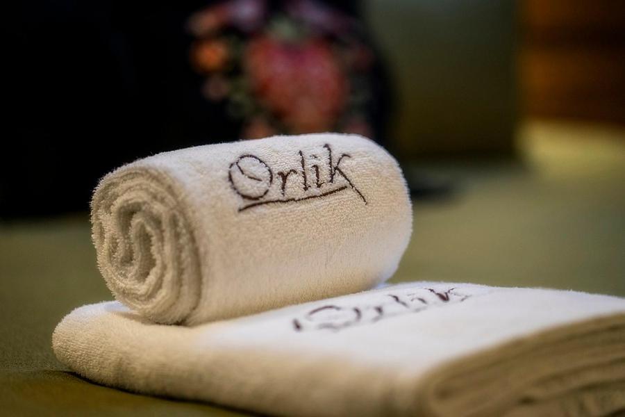 Pensjonat Orlik Mountain Resort&SPA
