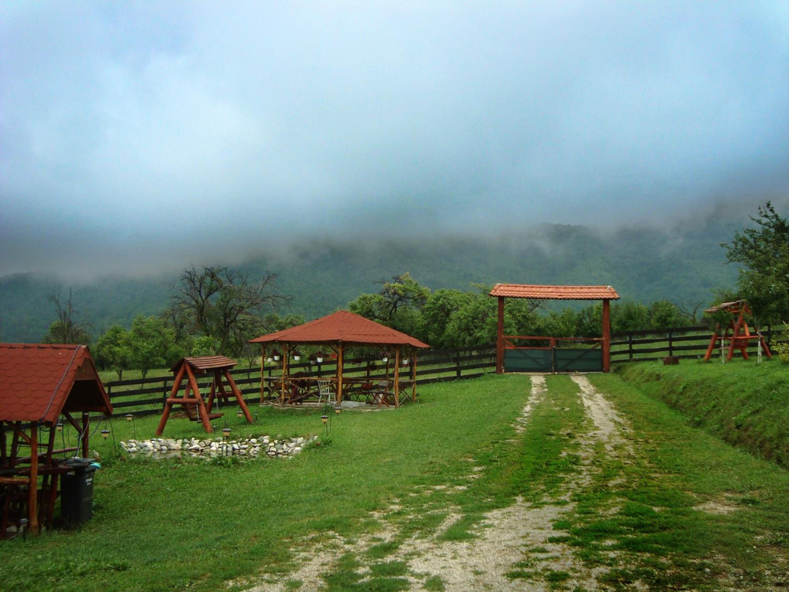 Photo 20